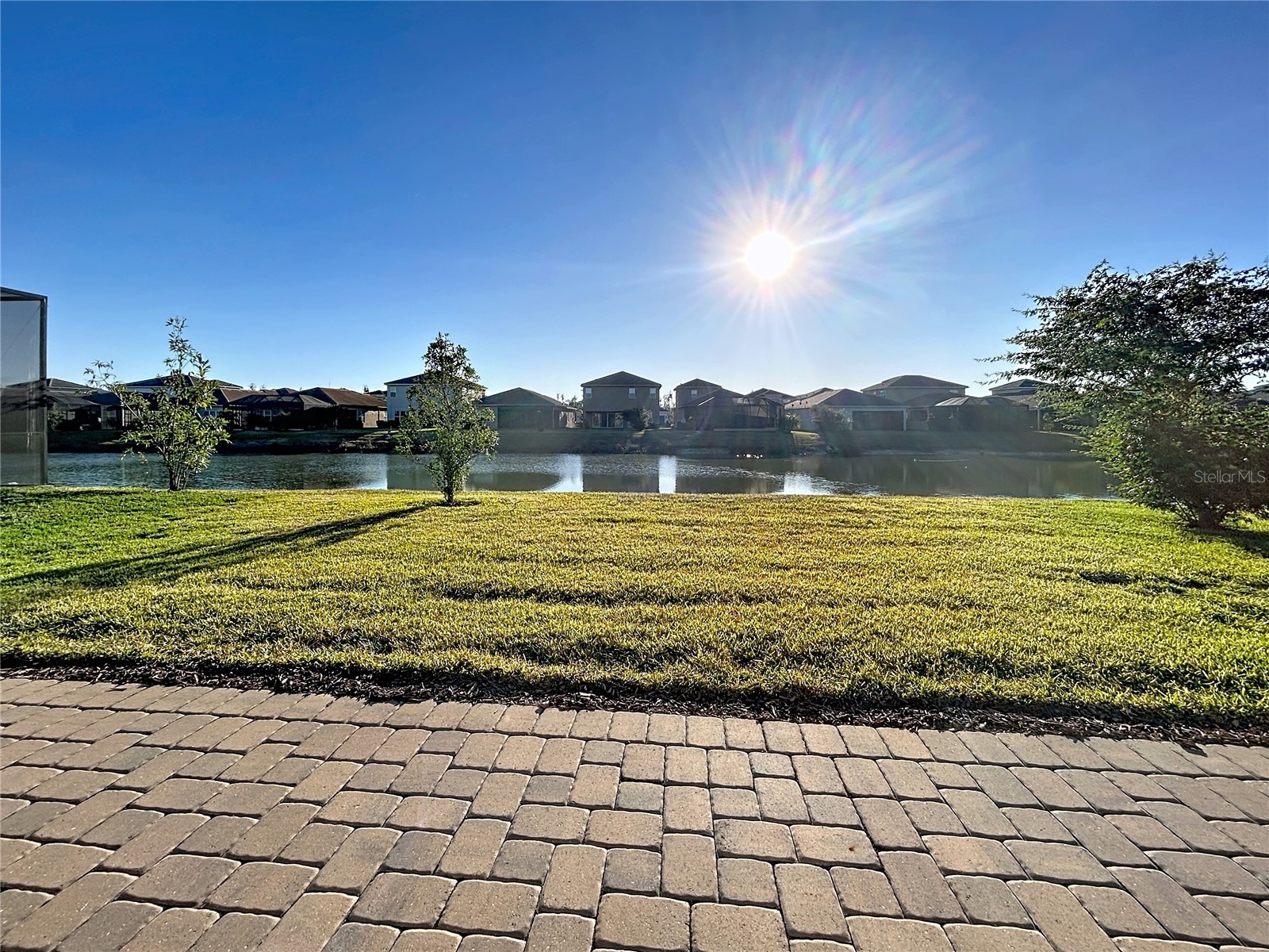 32801 Tree Of Life Avenue Wesley Chapel FL 33543 TB8467078 image27