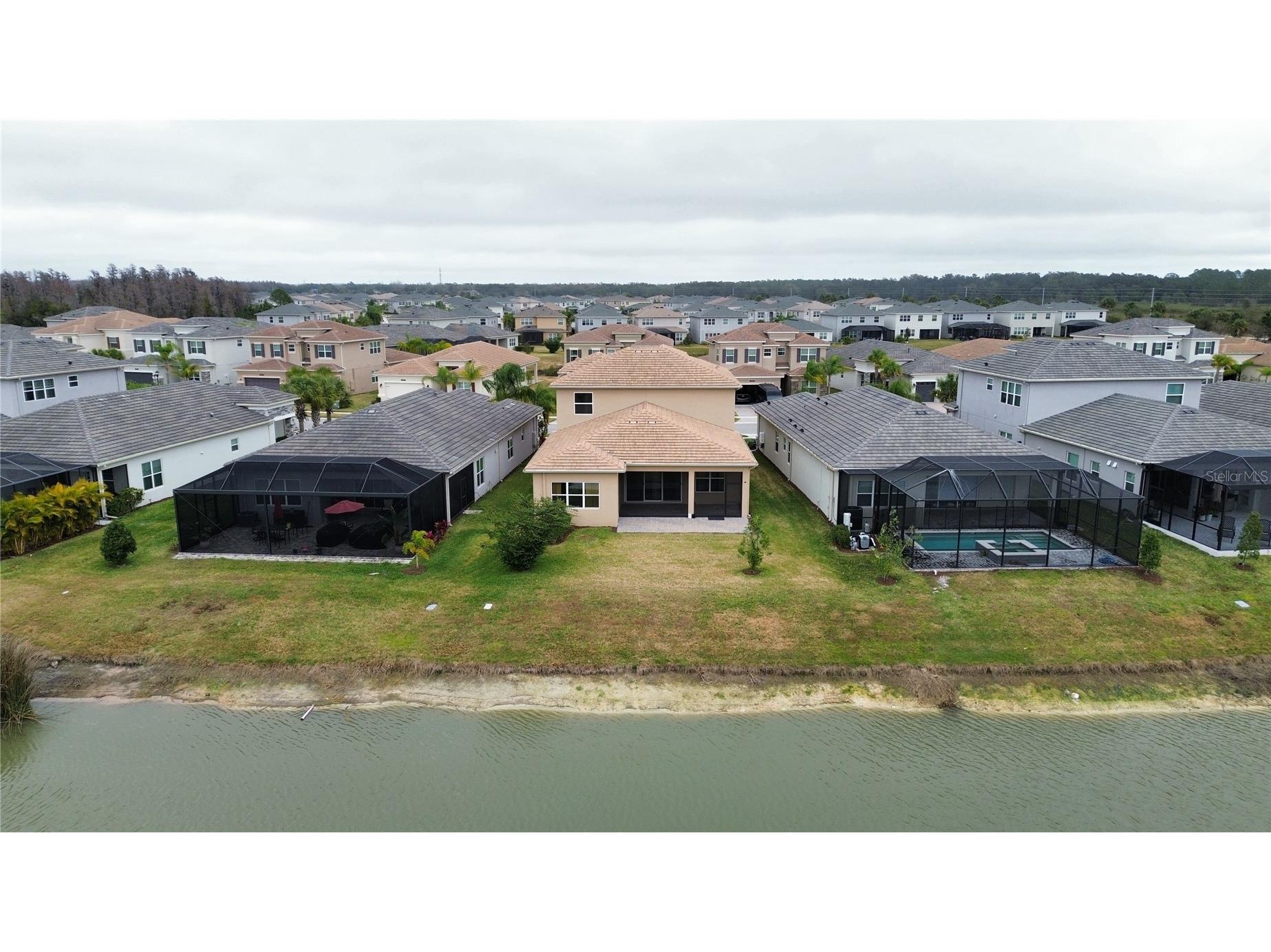 32801 Tree Of Life Avenue Wesley Chapel FL 33543 TB8467078 image29