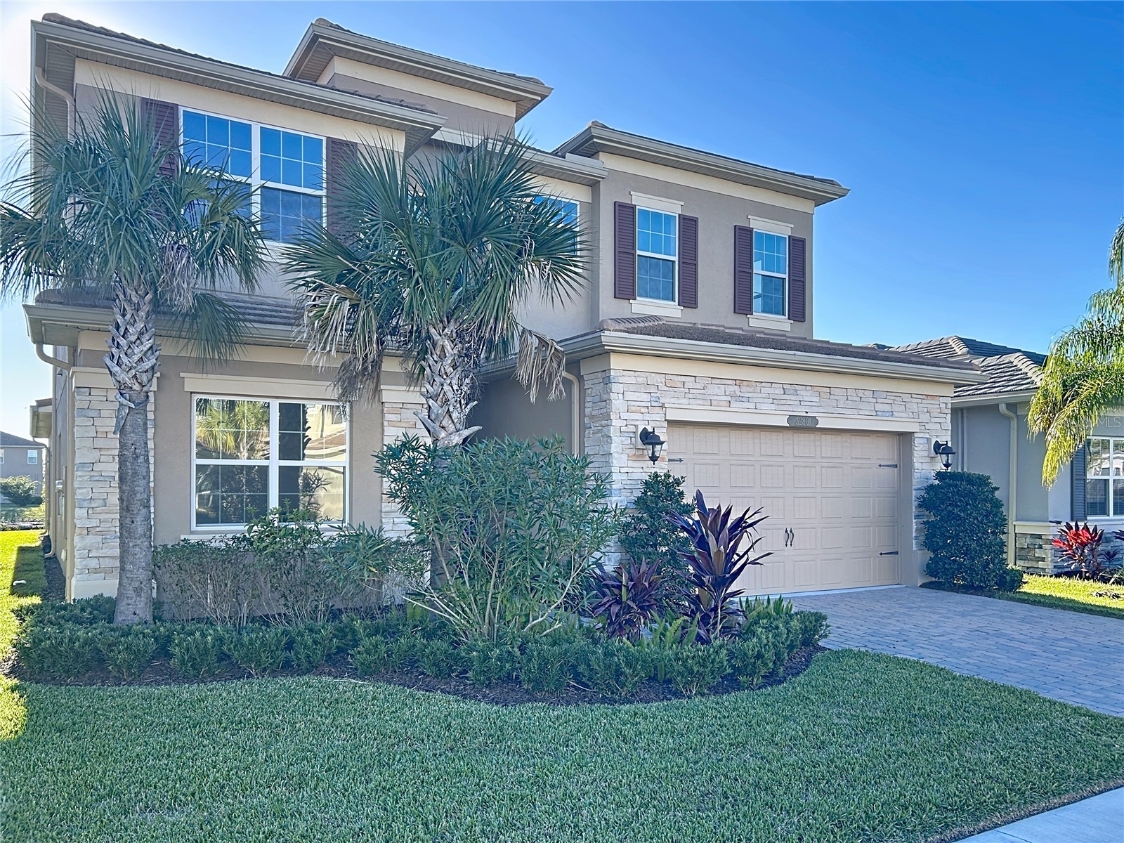 32801 Tree Of Life Avenue Wesley Chapel FL 33543 TB8467078 image3