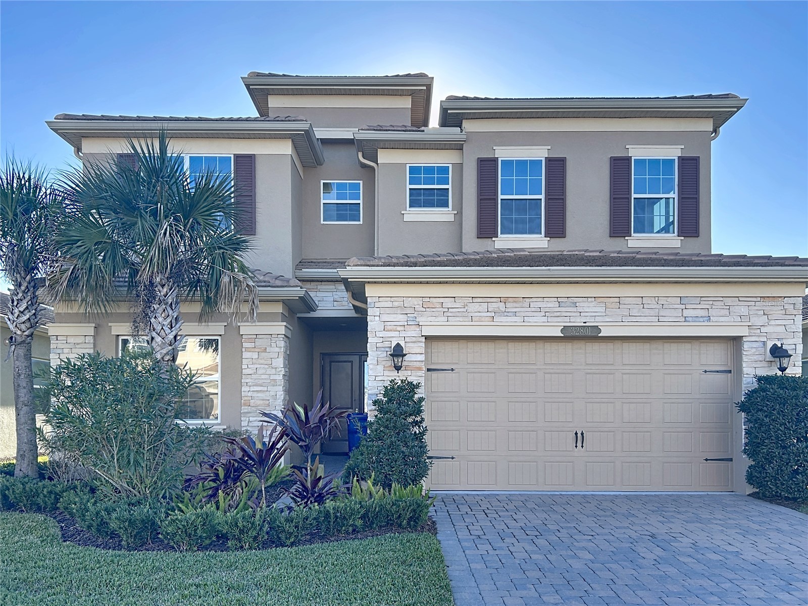 32801 Tree Of Life Avenue Wesley Chapel FL 33543 TB8467078 image4