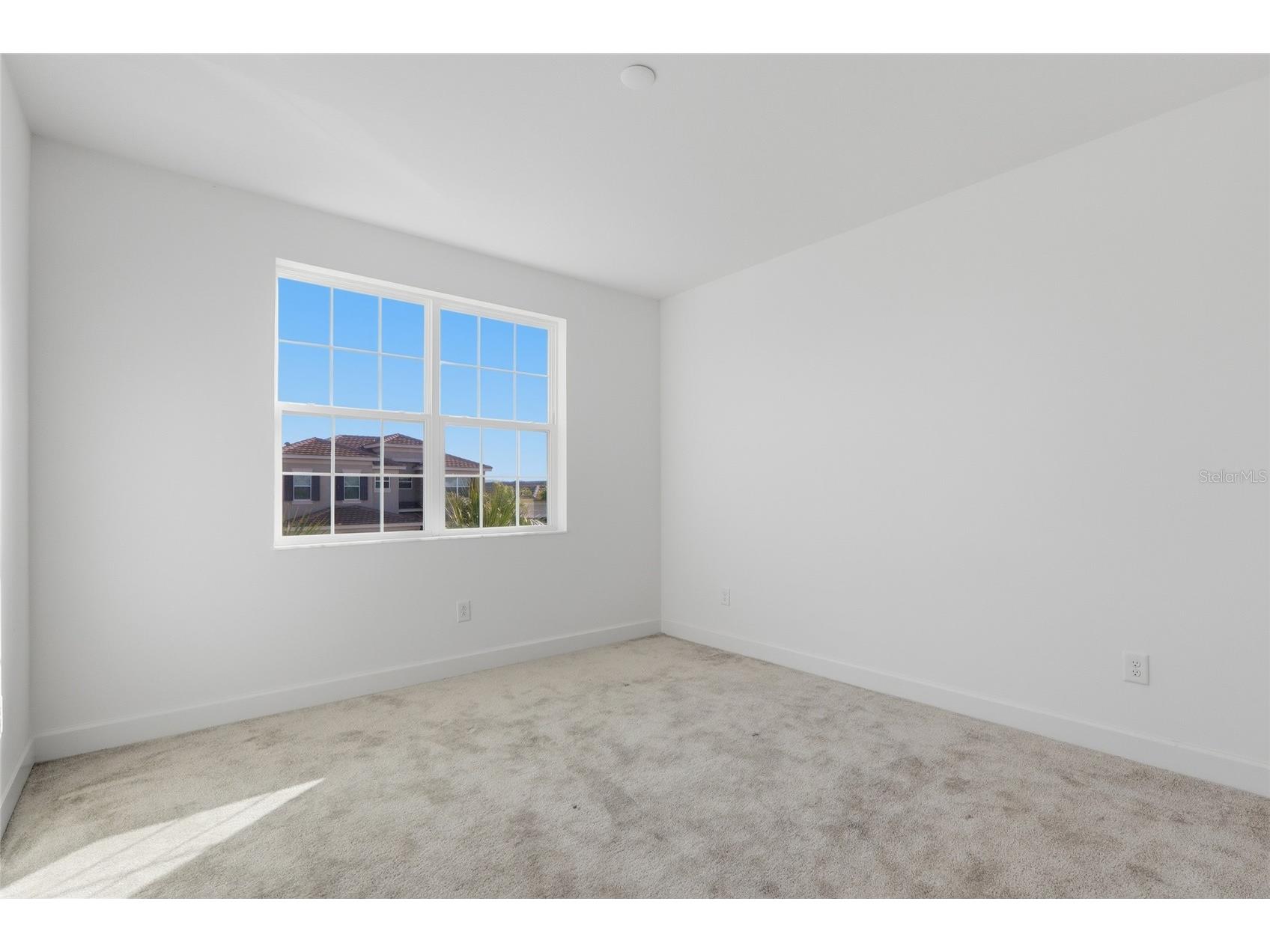 32801 Tree Of Life Avenue Wesley Chapel FL 33543 TB8513969 image21