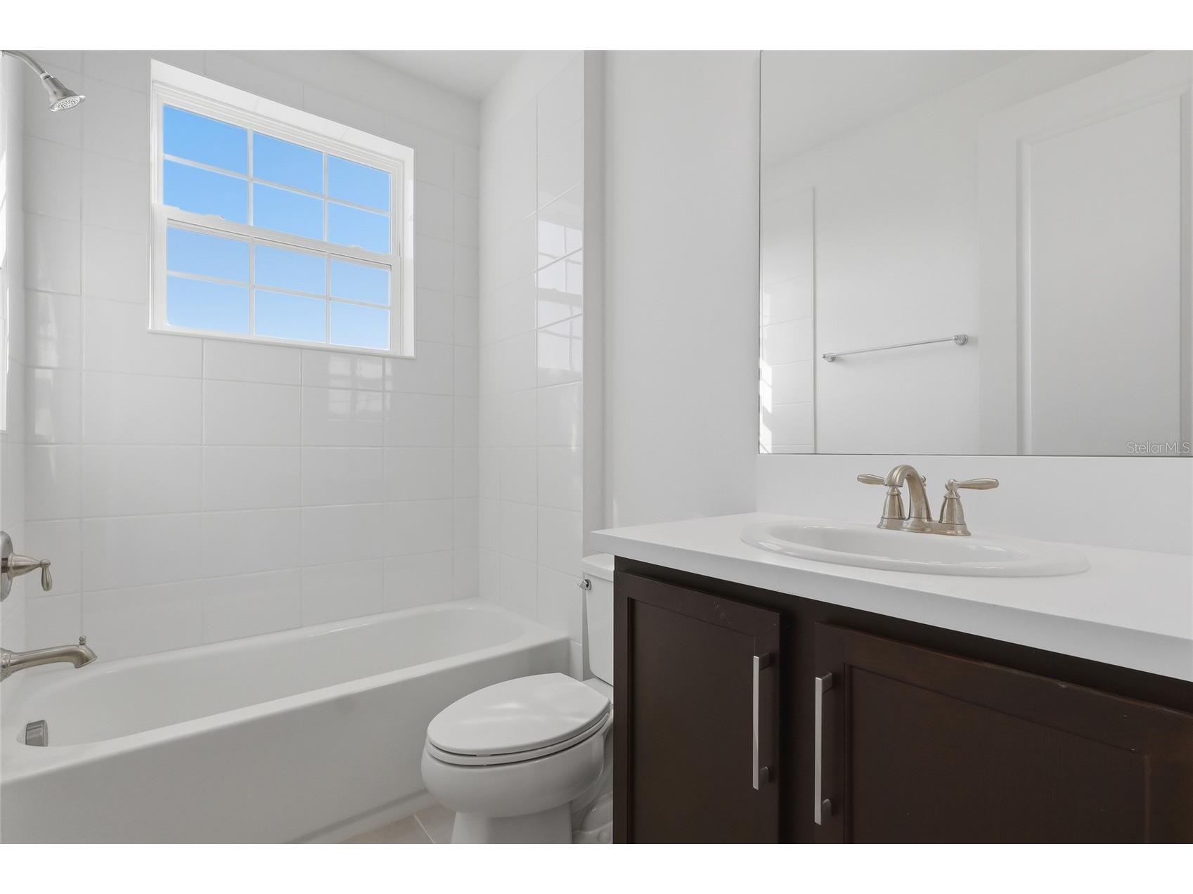 32801 Tree Of Life Avenue Wesley Chapel FL 33543 TB8513969 image32