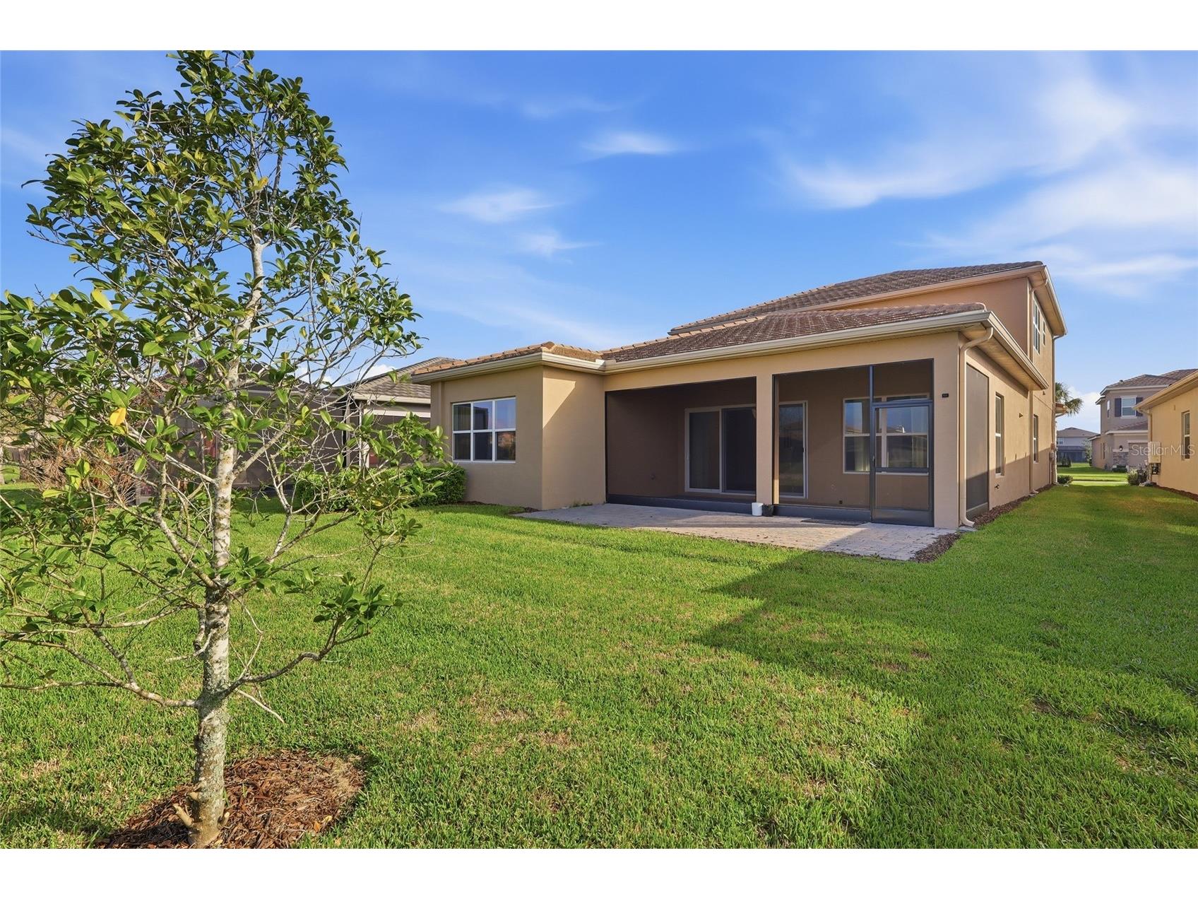 32801 Tree Of Life Avenue Wesley Chapel FL 33543 TB8513969 image36