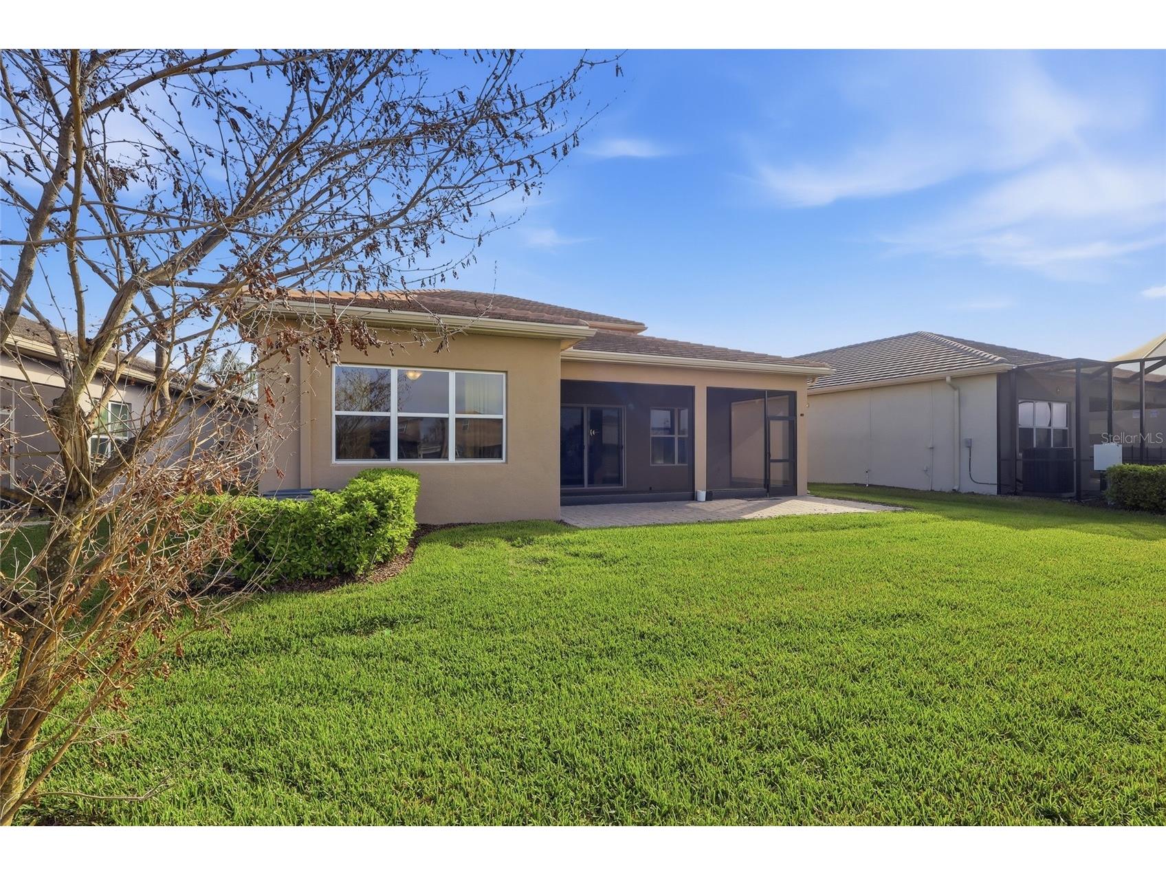 32801 Tree Of Life Avenue Wesley Chapel FL 33543 TB8513969 image37