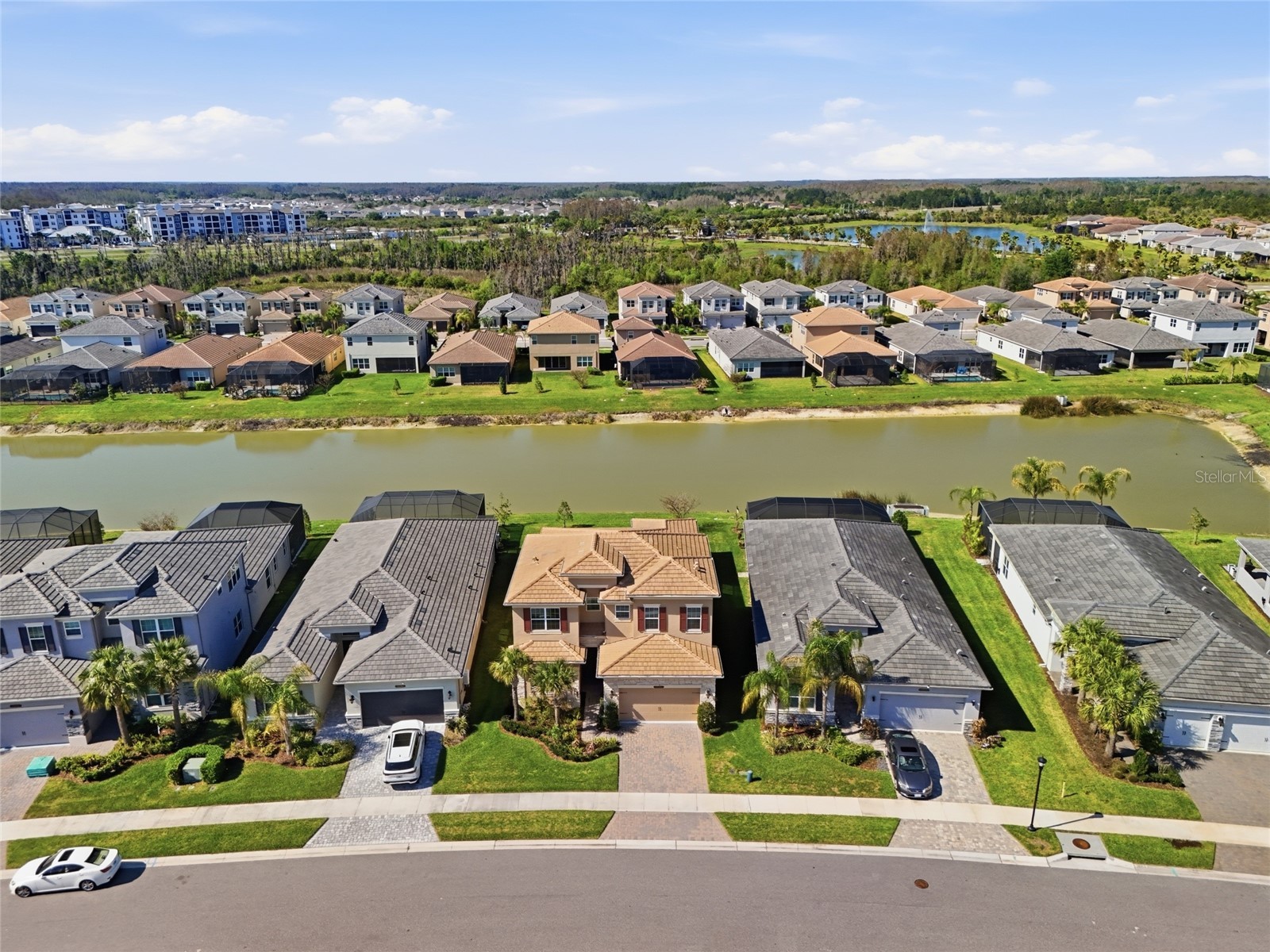 32801 Tree Of Life Avenue Wesley Chapel FL 33543 TB8513969 image39