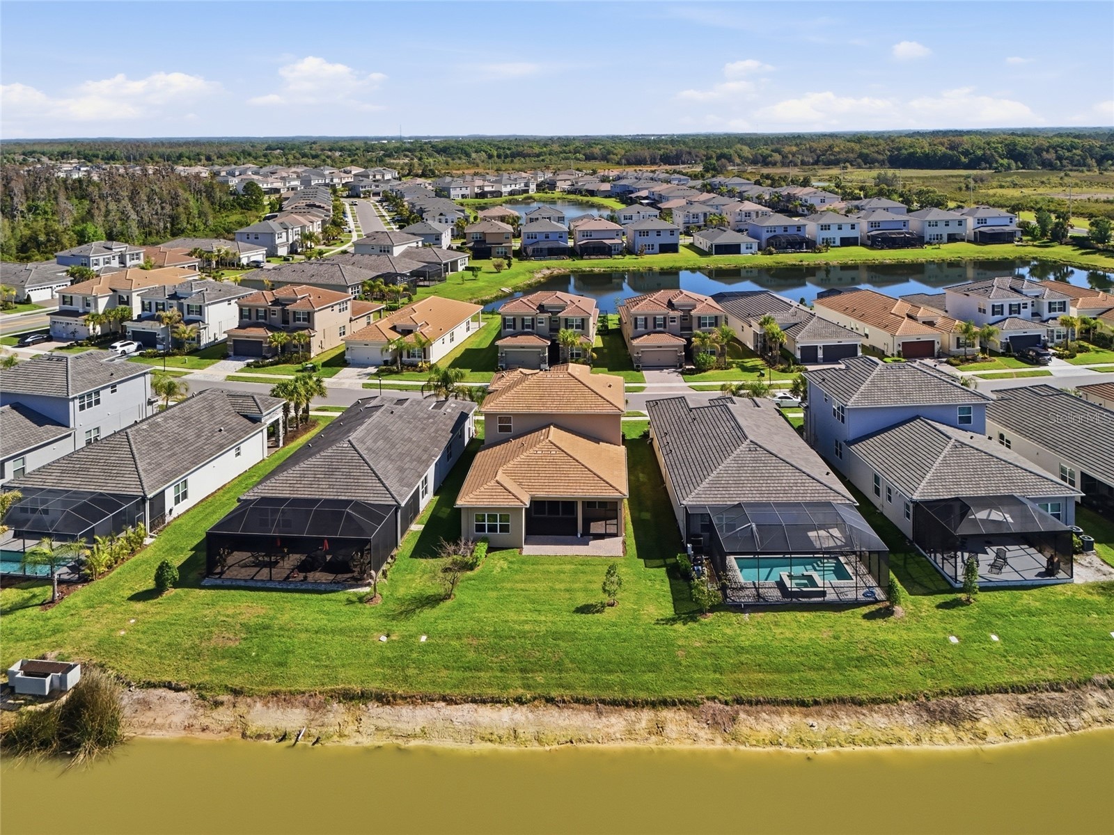 32801 Tree Of Life Avenue Wesley Chapel FL 33543 TB8513969 image40
