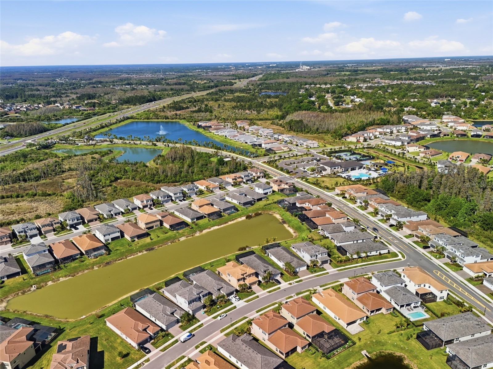 32801 Tree Of Life Avenue Wesley Chapel FL 33543 TB8513969 image41