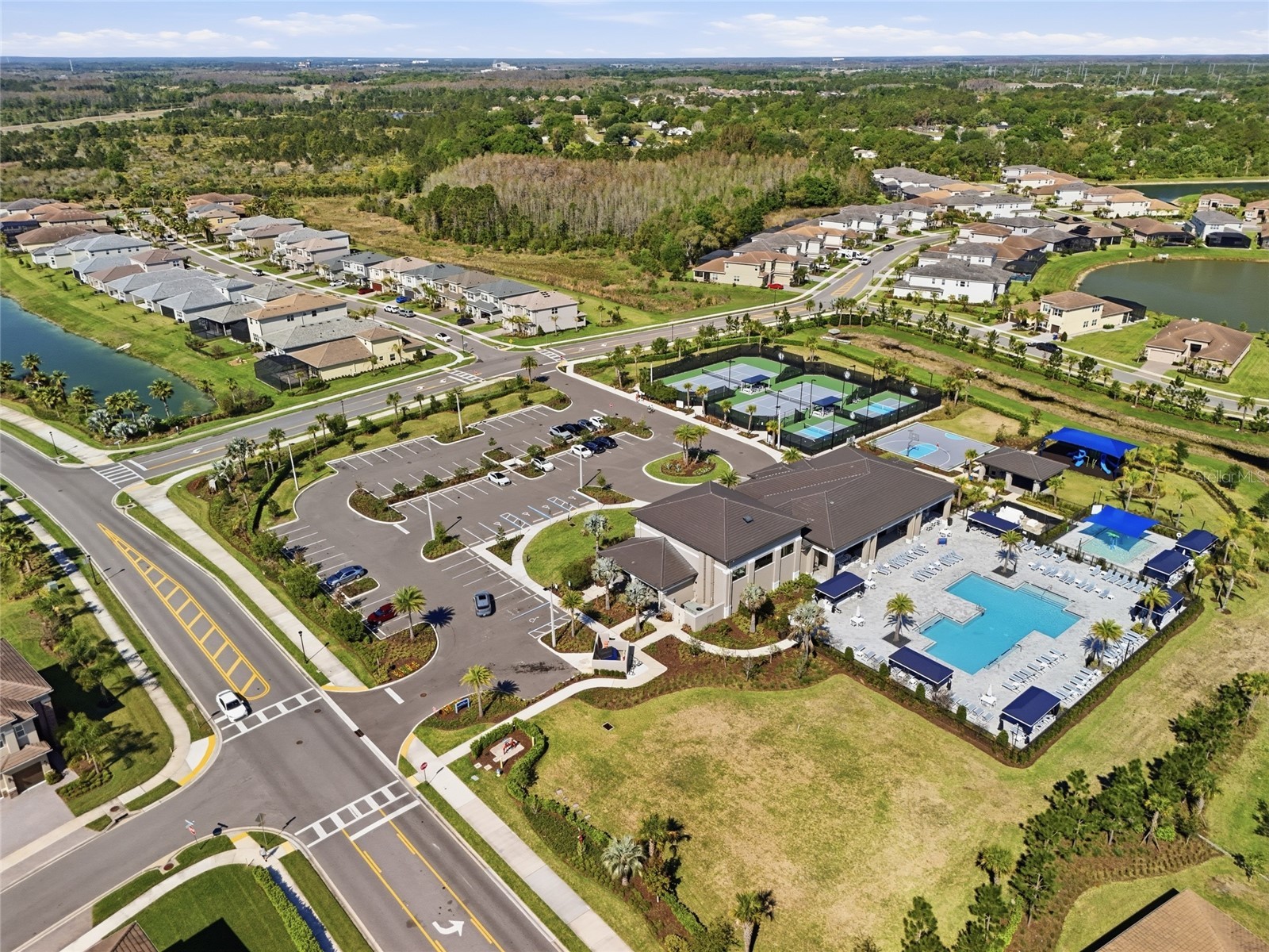 32801 Tree Of Life Avenue Wesley Chapel FL 33543 TB8513969 image42