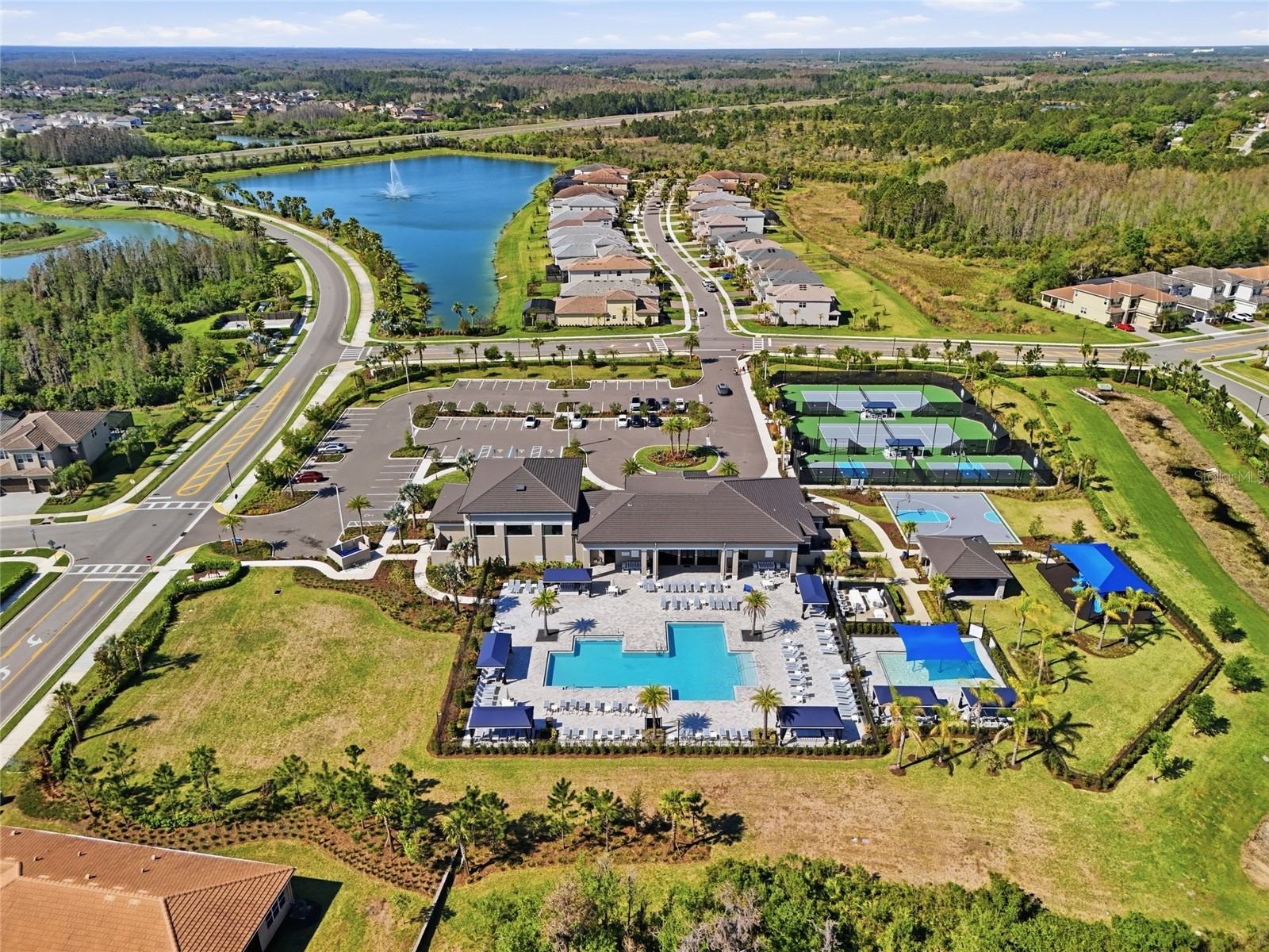 32801 Tree Of Life Avenue Wesley Chapel FL 33543 TB8513969 image43