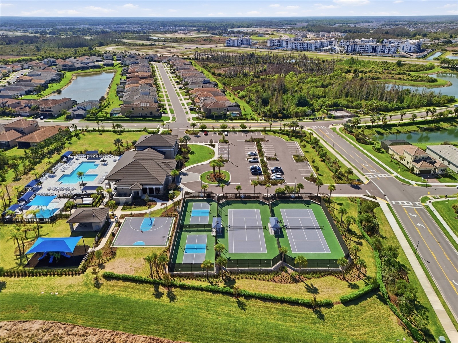 32801 Tree Of Life Avenue Wesley Chapel FL 33543 TB8513969 image45