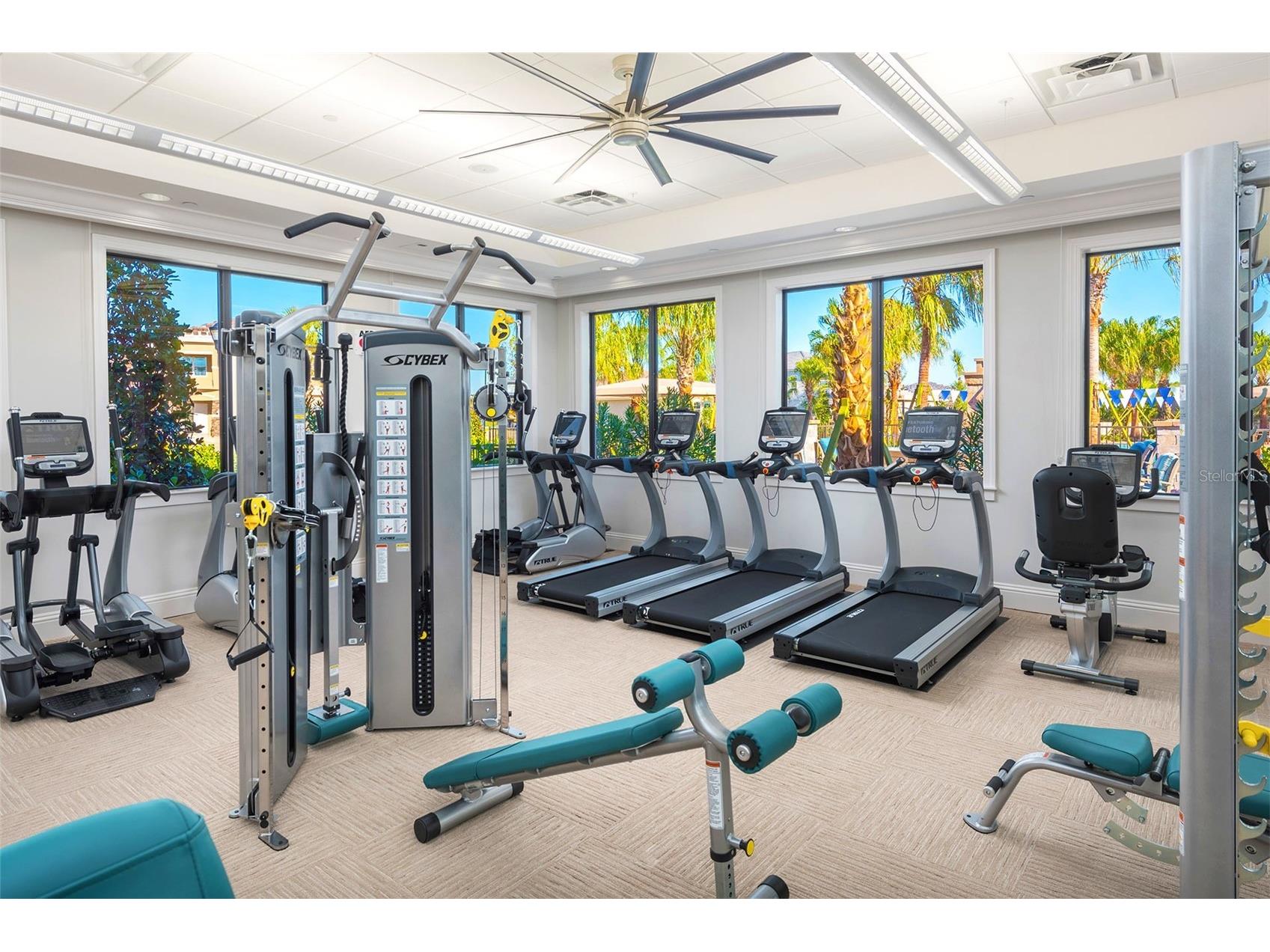 32801 Tree Of Life Avenue Wesley Chapel FL 33543 TB8513969 image50