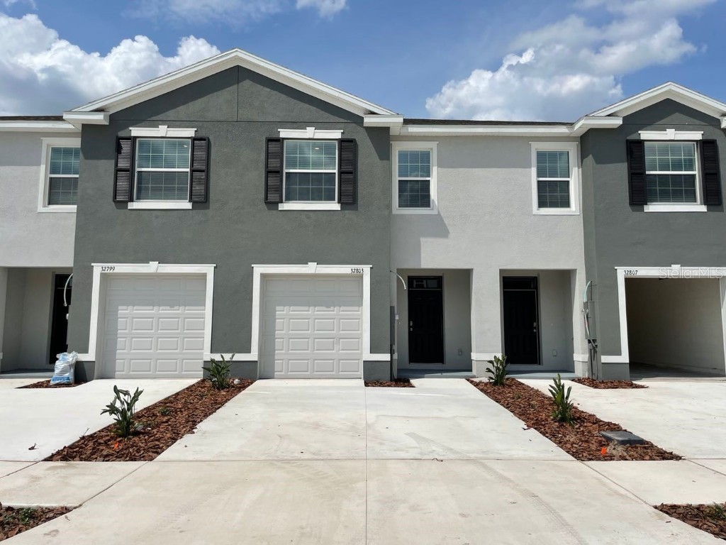 32803 Pez Landing Lane Wesley Chapel FL 33543 O6187630 image1