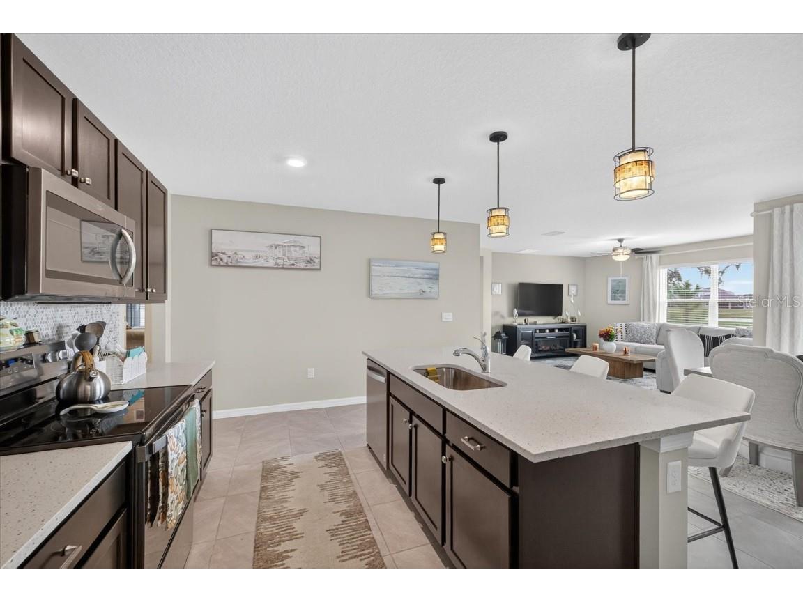 32805 Osprey Peak Way San Antonio FL 33576 TB8434777 image29