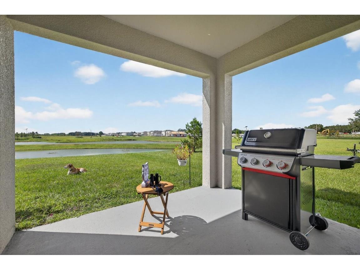 32805 Osprey Peak Way San Antonio FL 33576 TB8434777 image40