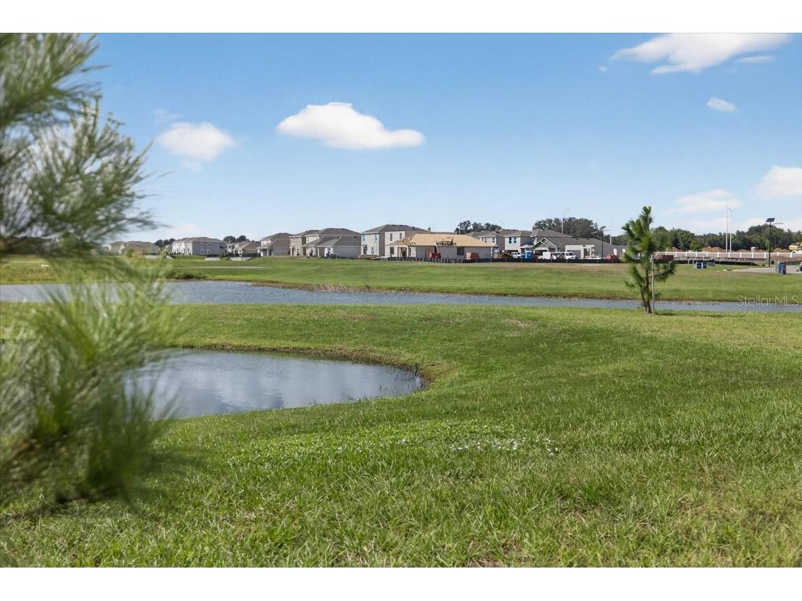 32805 Osprey Peak Way San Antonio FL 33576 TB8434777 image41