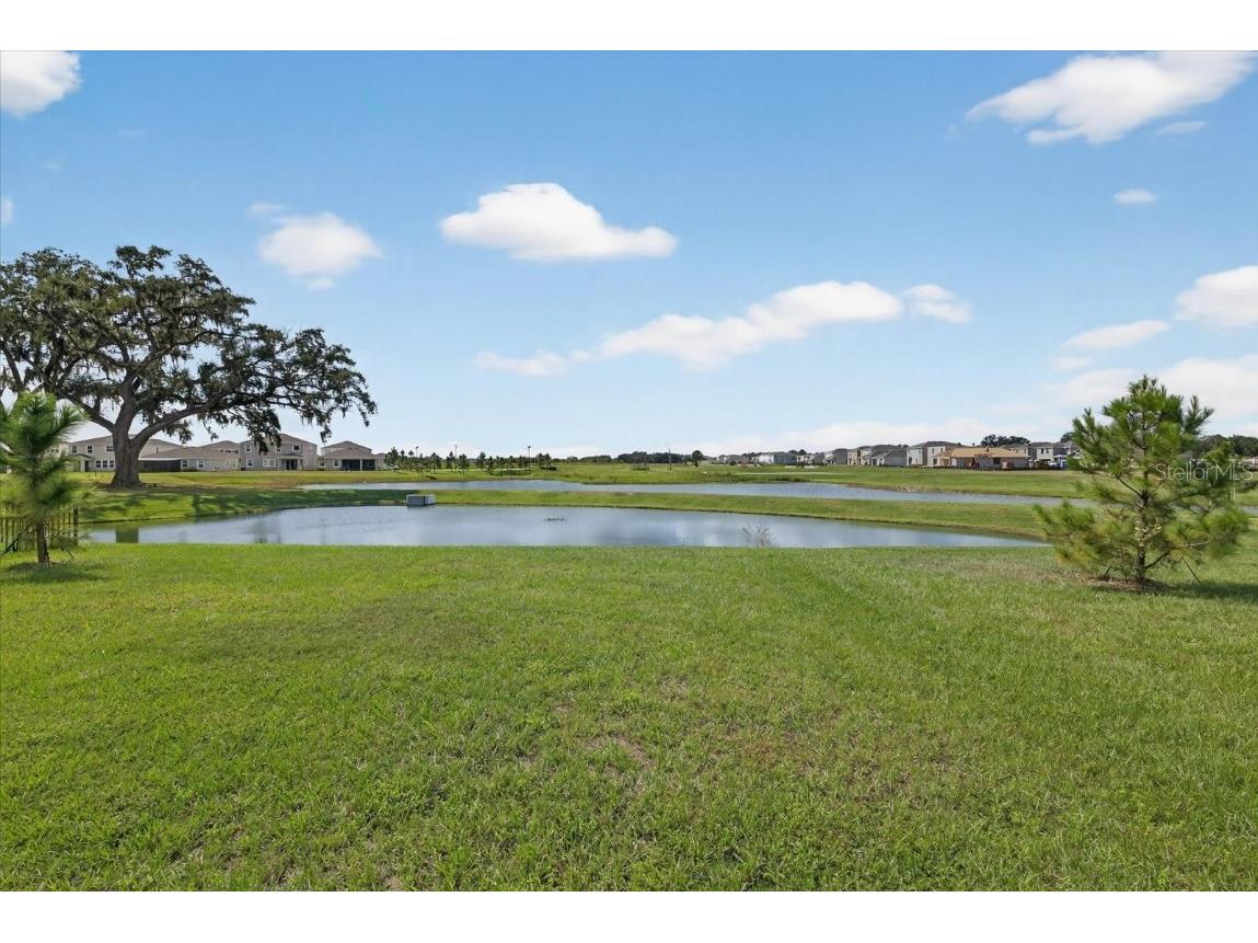 32805 Osprey Peak Way San Antonio FL 33576 TB8434777 image42