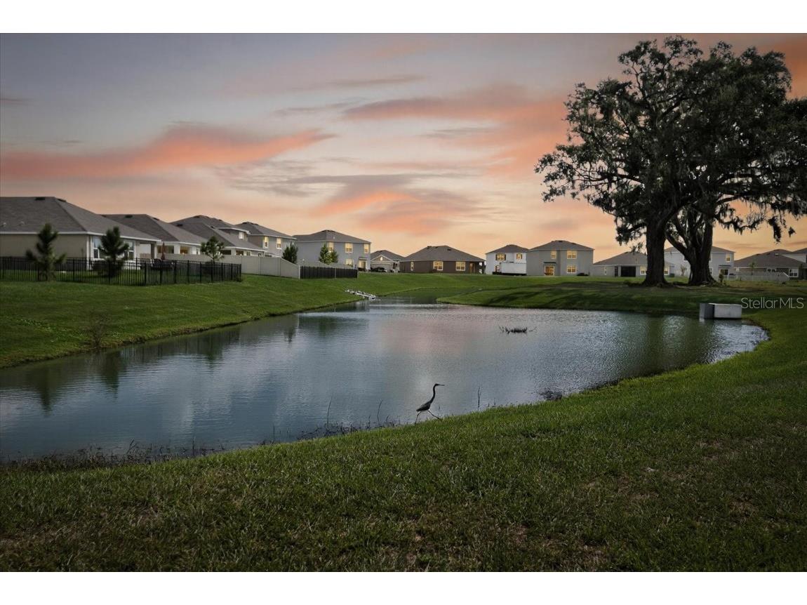 32805 Osprey Peak Way San Antonio FL 33576 TB8434777 image46