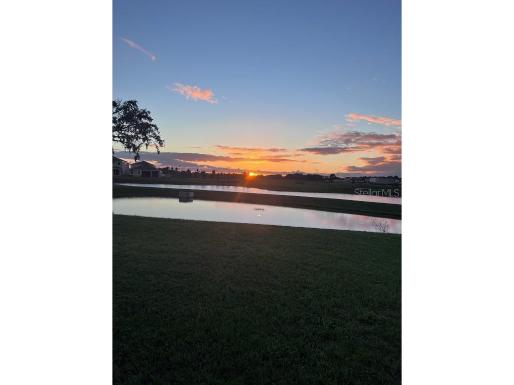 32805 Osprey Peak Way San Antonio FL 33576 TB8434777 image49