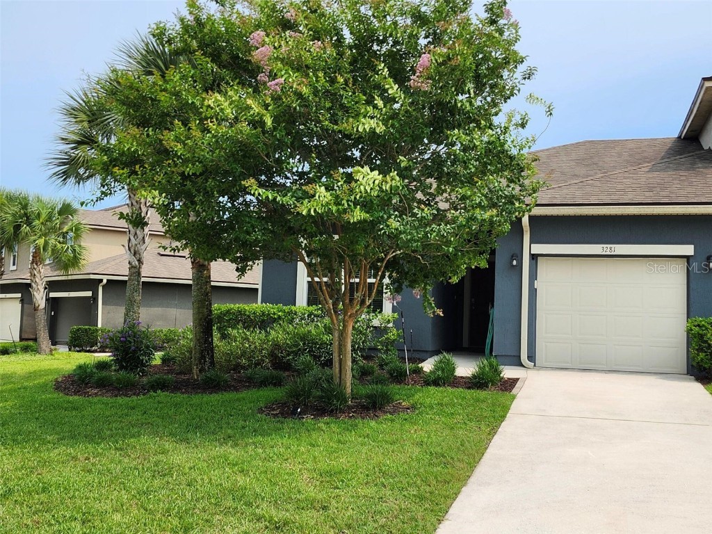 3281 Chestnut Ridge Way Orange Park FL 32065 O6317421 image1