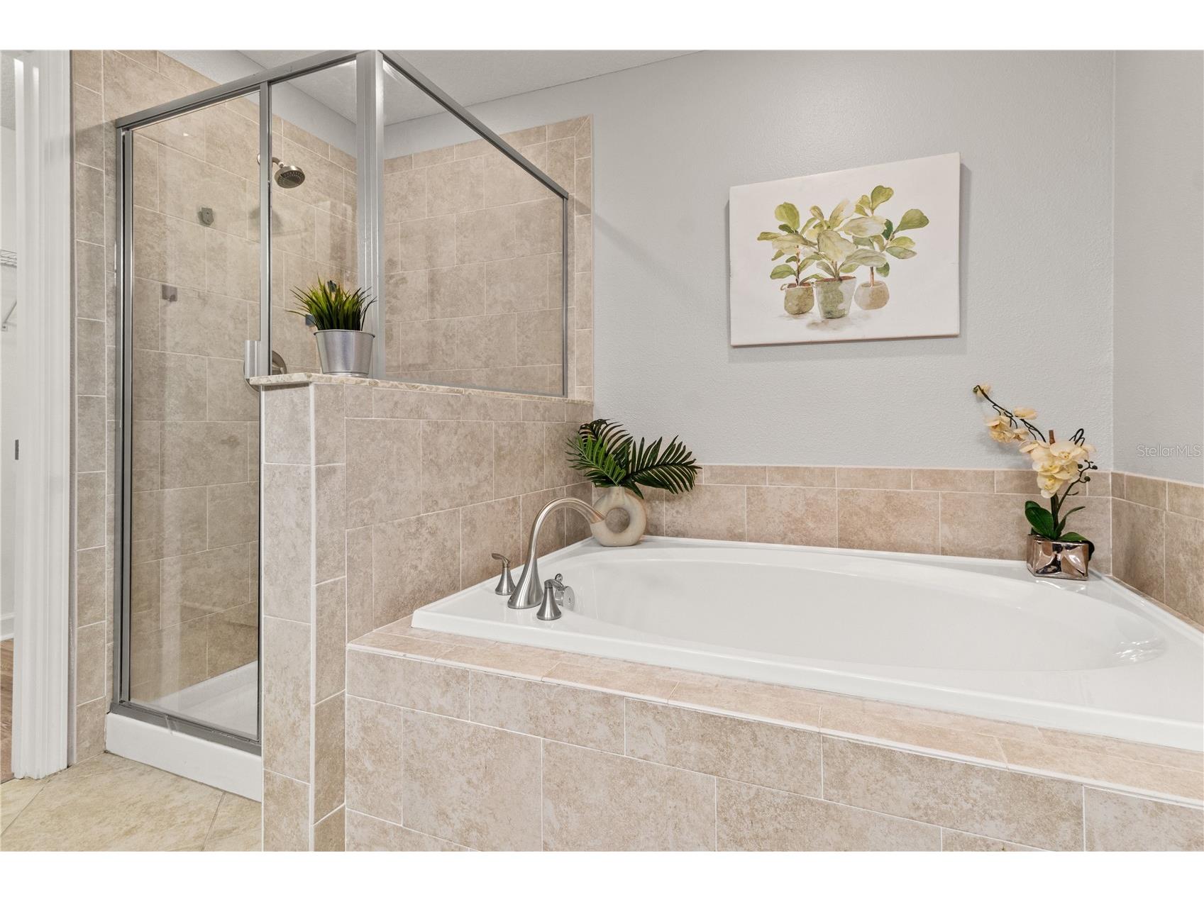 3281 Gentle Dell Wesley Chapel FL 33543 TB8504727 image25