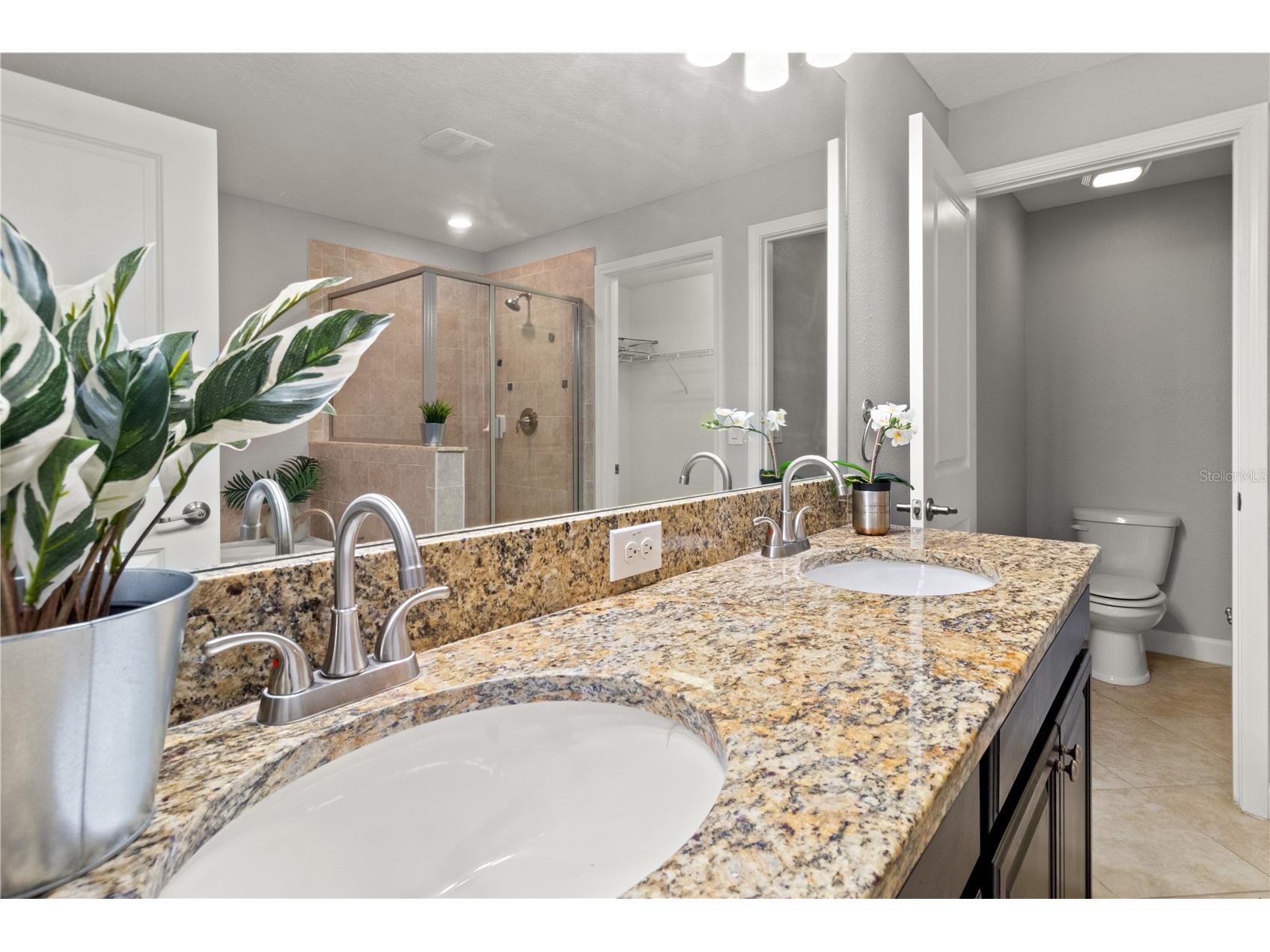 3281 Gentle Dell Wesley Chapel FL 33543 TB8504727 image26