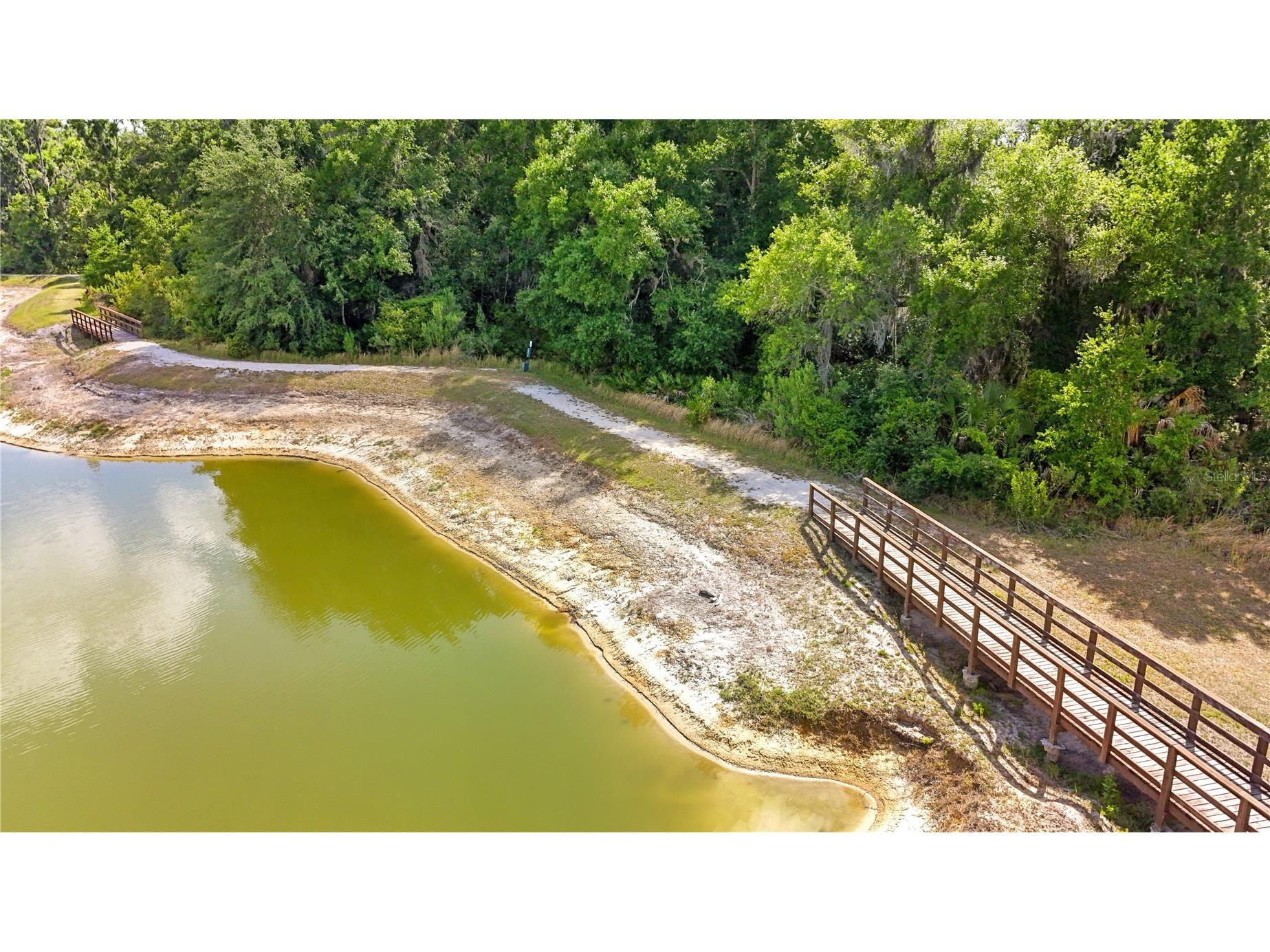 3281 Gentle Dell Wesley Chapel FL 33543 TB8504727 image40