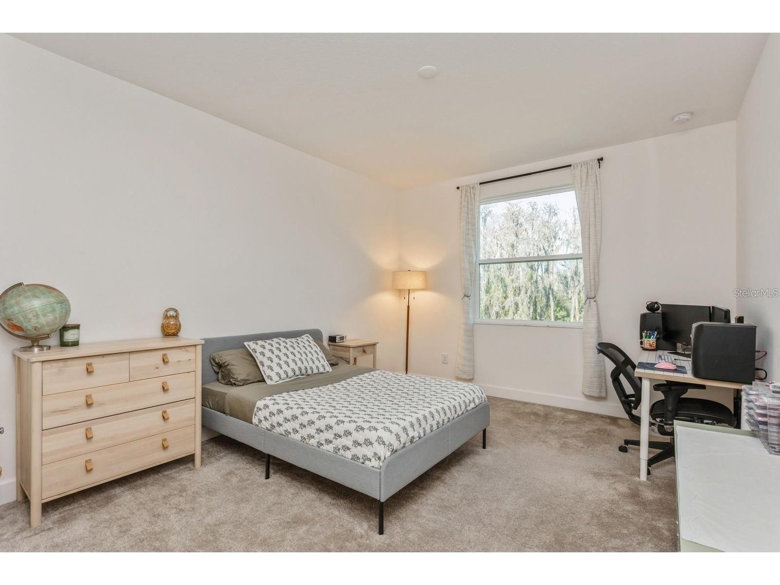 3281 Great Banyan Way Wesley Chapel FL 33543 TB8503678 image26