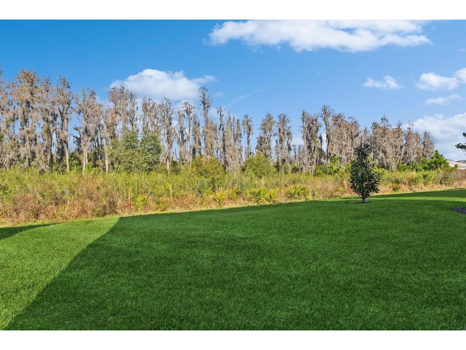 3281 Great Banyan Way Wesley Chapel FL 33543 TB8503678 image37