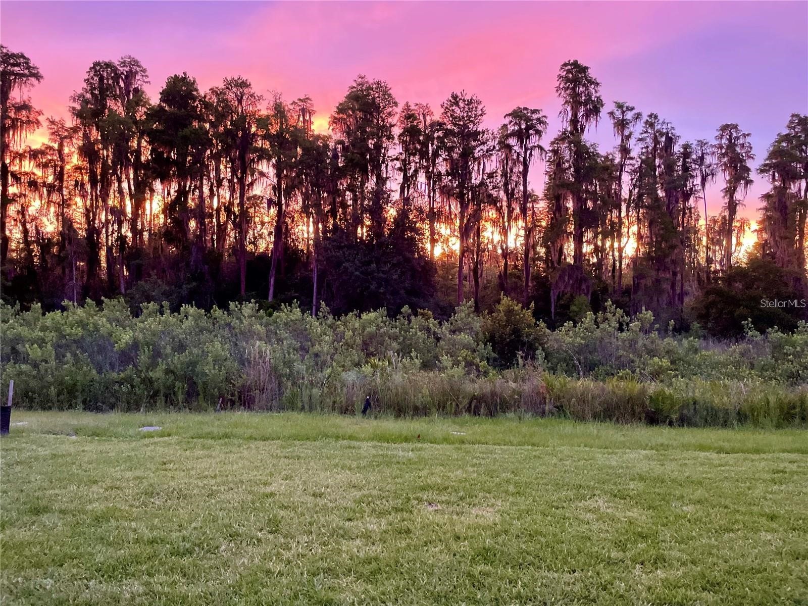 3281 Great Banyan Way Wesley Chapel FL 33543 TB8503678 image38
