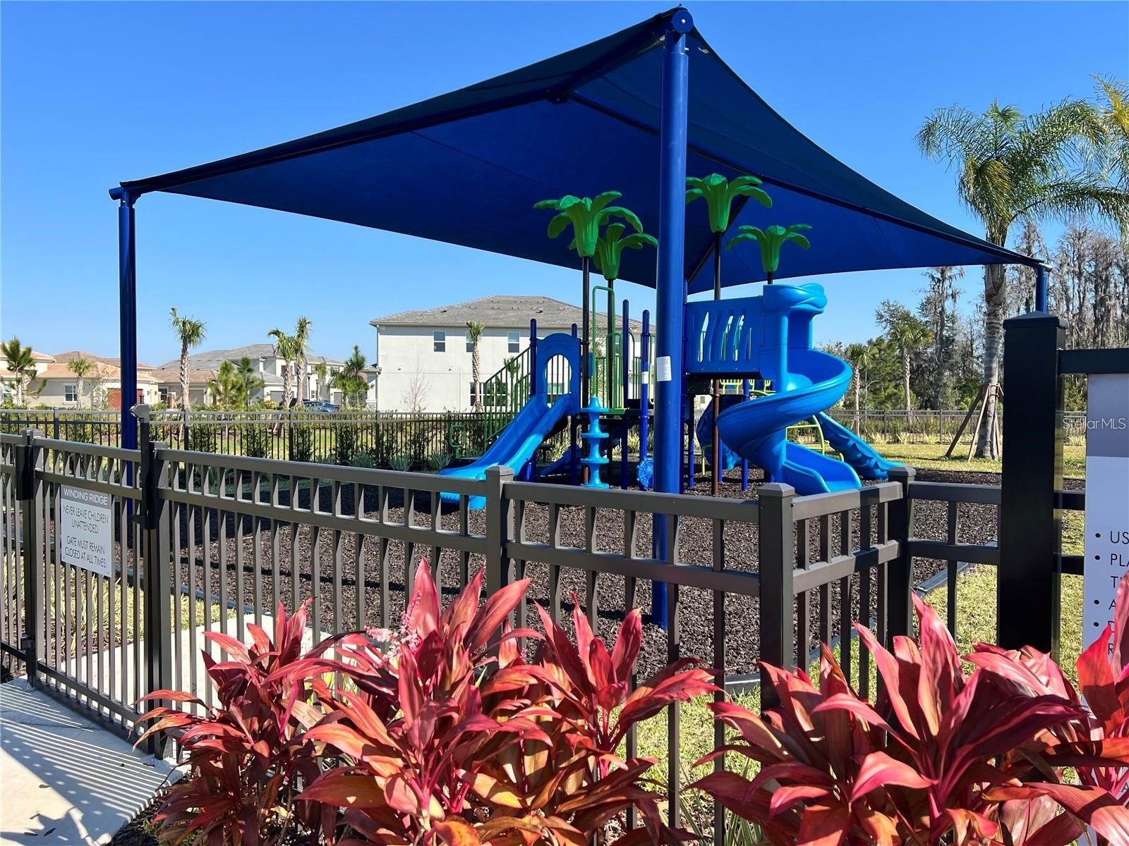 3281 Great Banyan Way Wesley Chapel FL 33543 TB8503678 image43