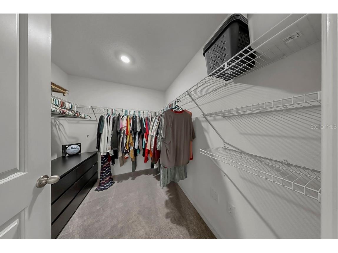 3281 Silver Date Drive Wimauma FL 33598 L4956951 image29