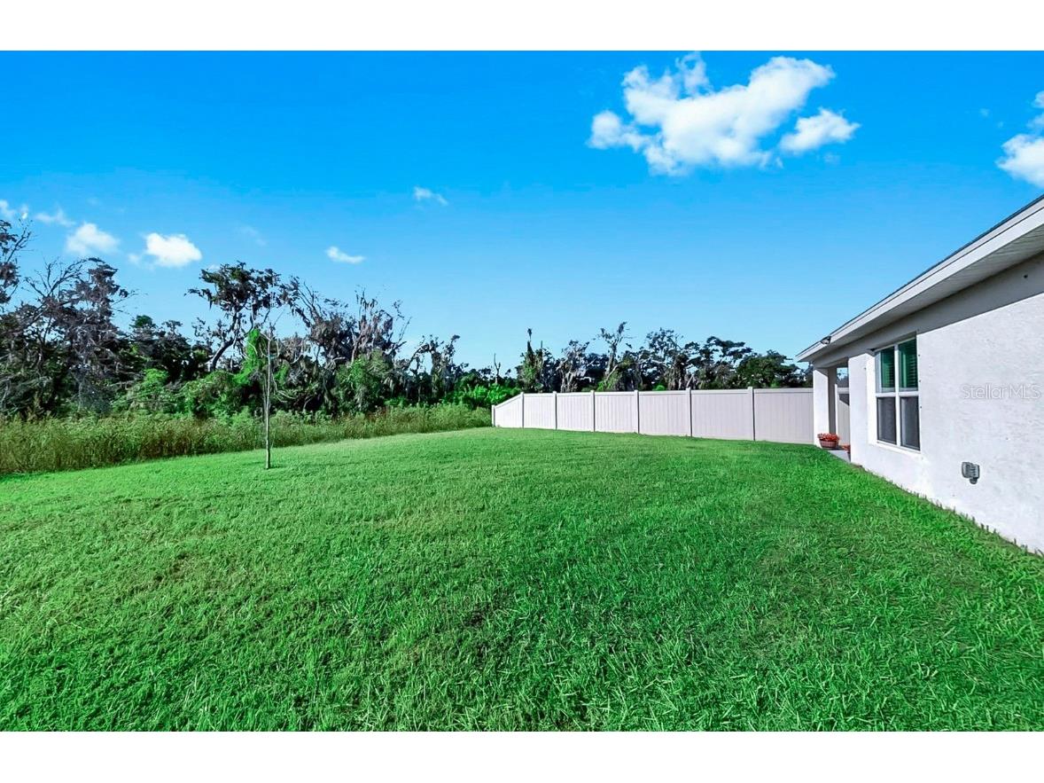 3281 Silver Date Drive Wimauma FL 33598 L4956951 image39