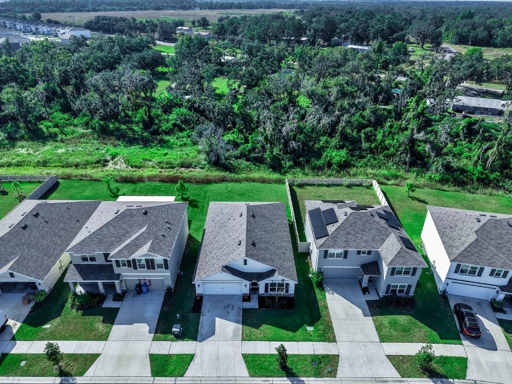 3281 Silver Date Drive Wimauma FL 33598 L4956951 image41