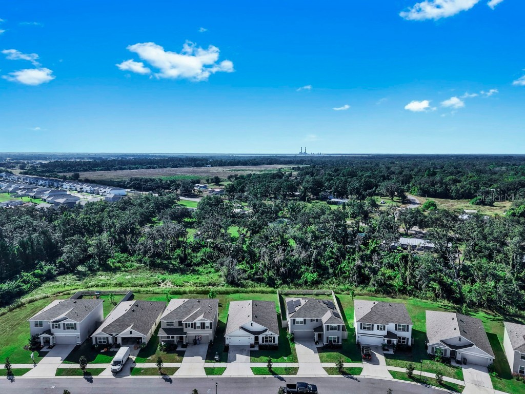 3281 Silver Date Drive Wimauma FL 33598 L4956951 image42