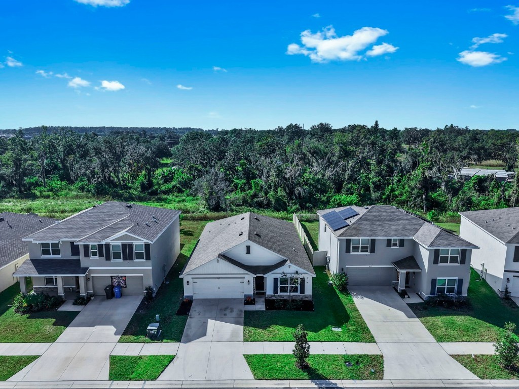 3281 Silver Date Drive Wimauma FL 33598 L4956951 image43