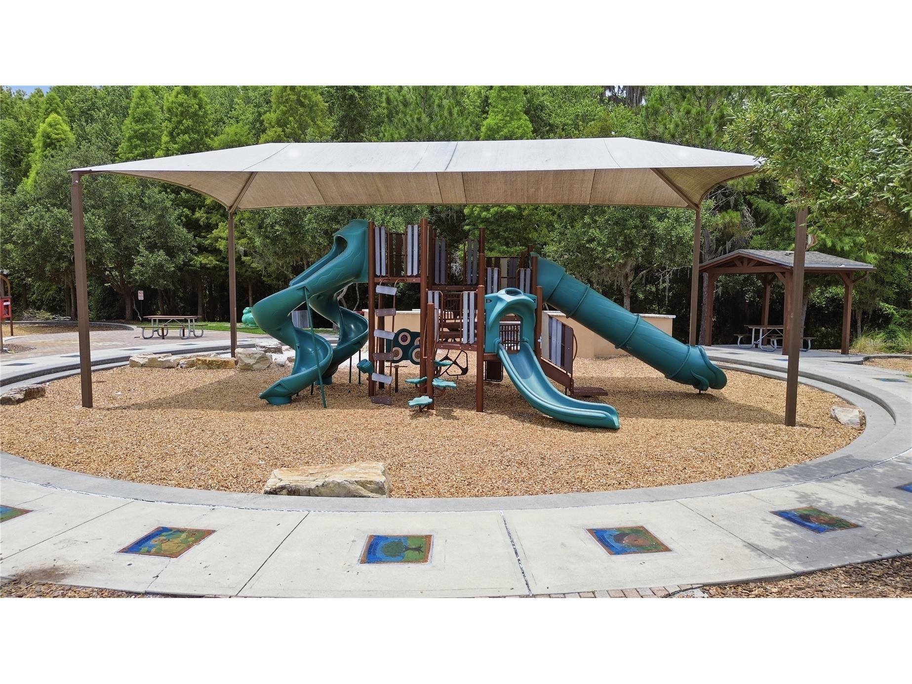 32825 Pez Landing Lane Wesley Chapel FL 33543 TB8516961 image50