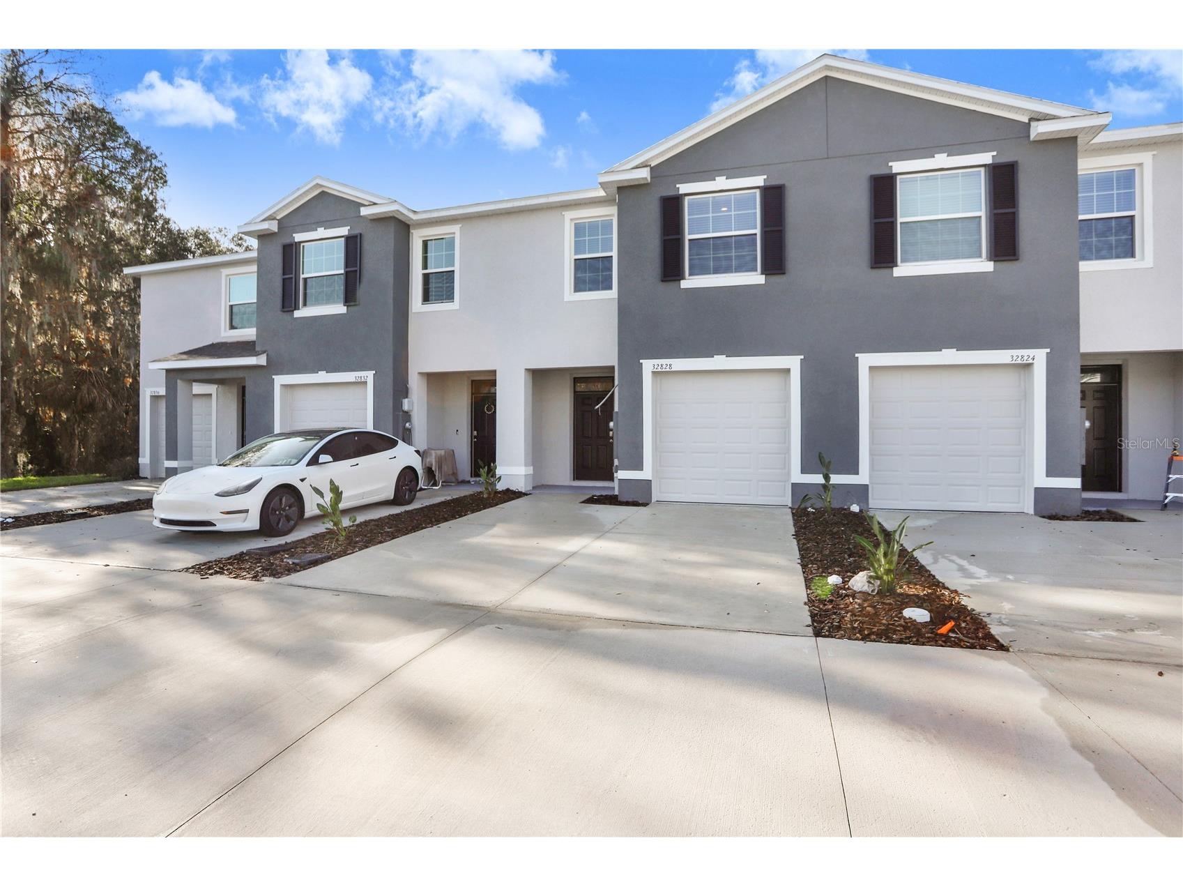 32828 Pez Landing Lane Wesley Chapel FL 33543 TB8458956 image1