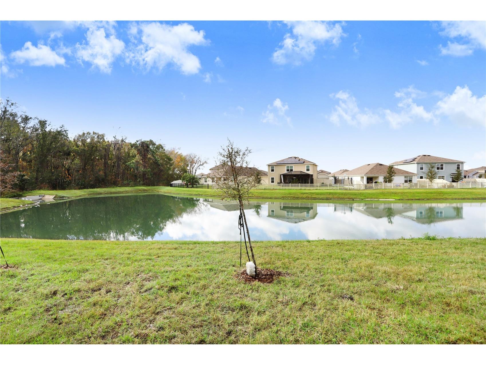 32828 Pez Landing Lane Wesley Chapel FL 33543 TB8458956 image17