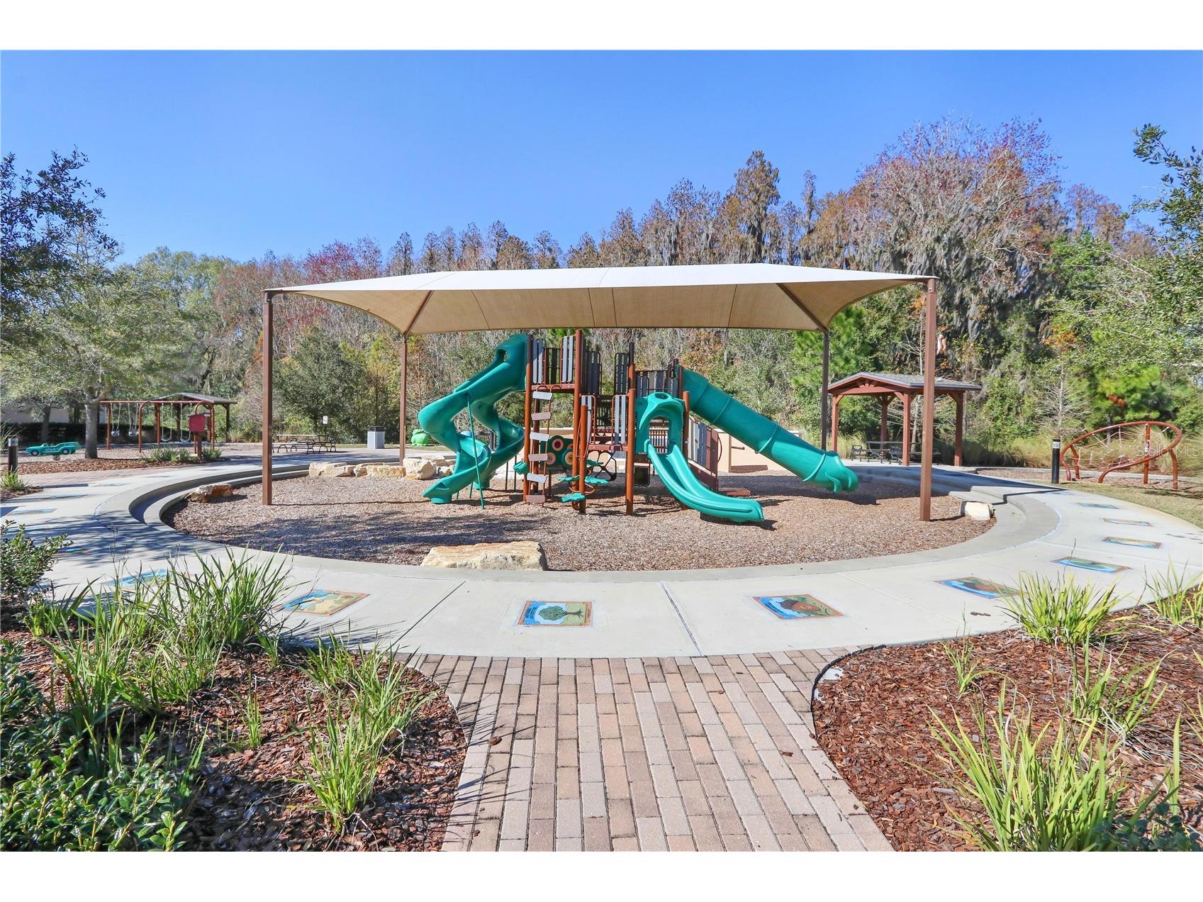 32828 Pez Landing Lane Wesley Chapel FL 33543 TB8458956 image37