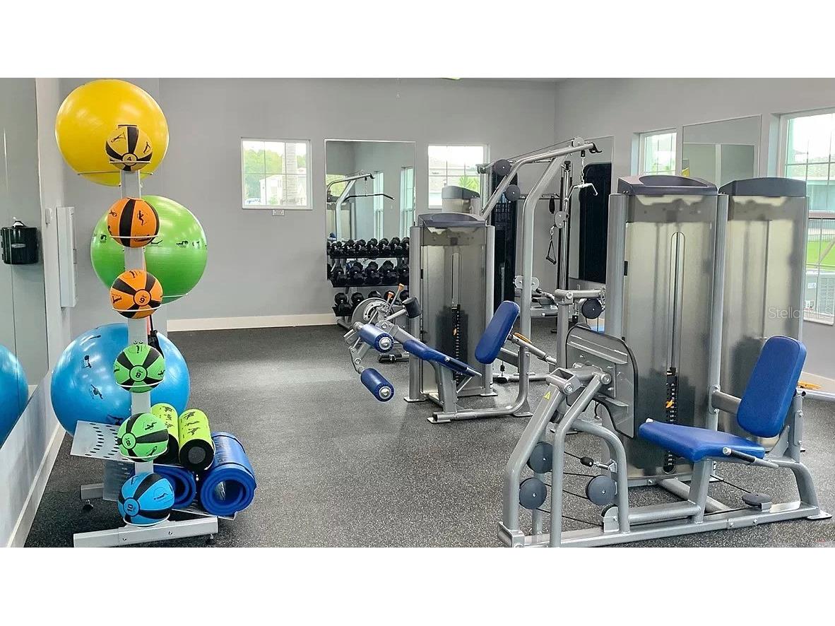 32828 Pez Landing Lane Wesley Chapel FL 33543 TB8458956 image40