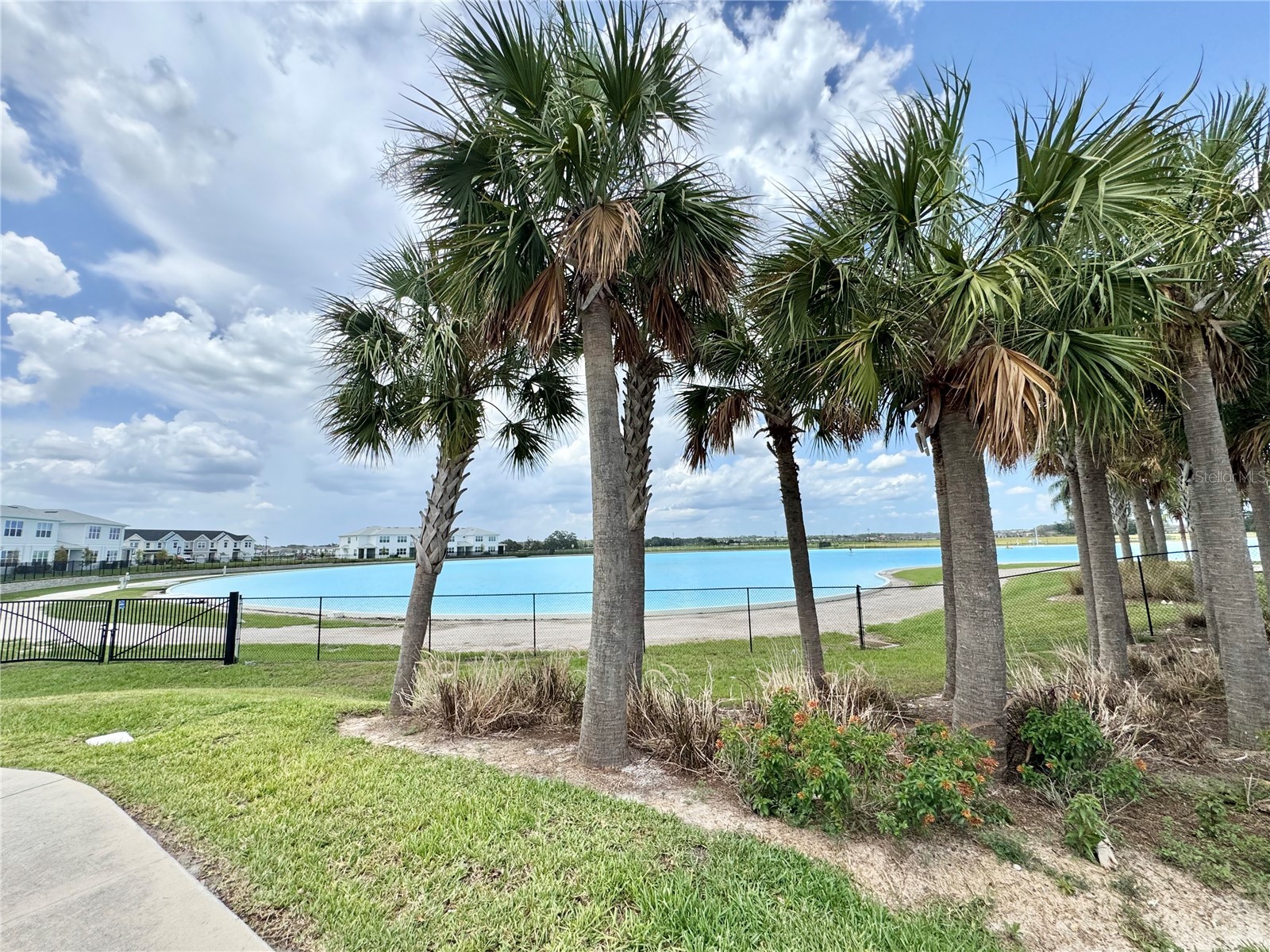 32828 Rustic Rise Road San Antonio FL 33576 TB8528206 image10