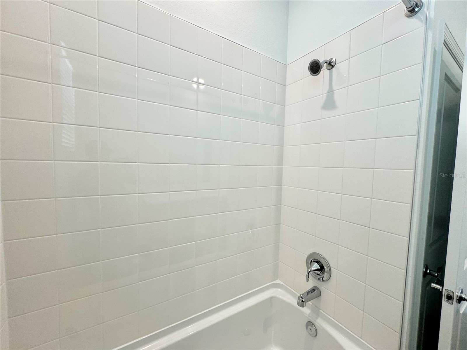 32828 Rustic Rise Road San Antonio FL 33576 TB8528206 image50