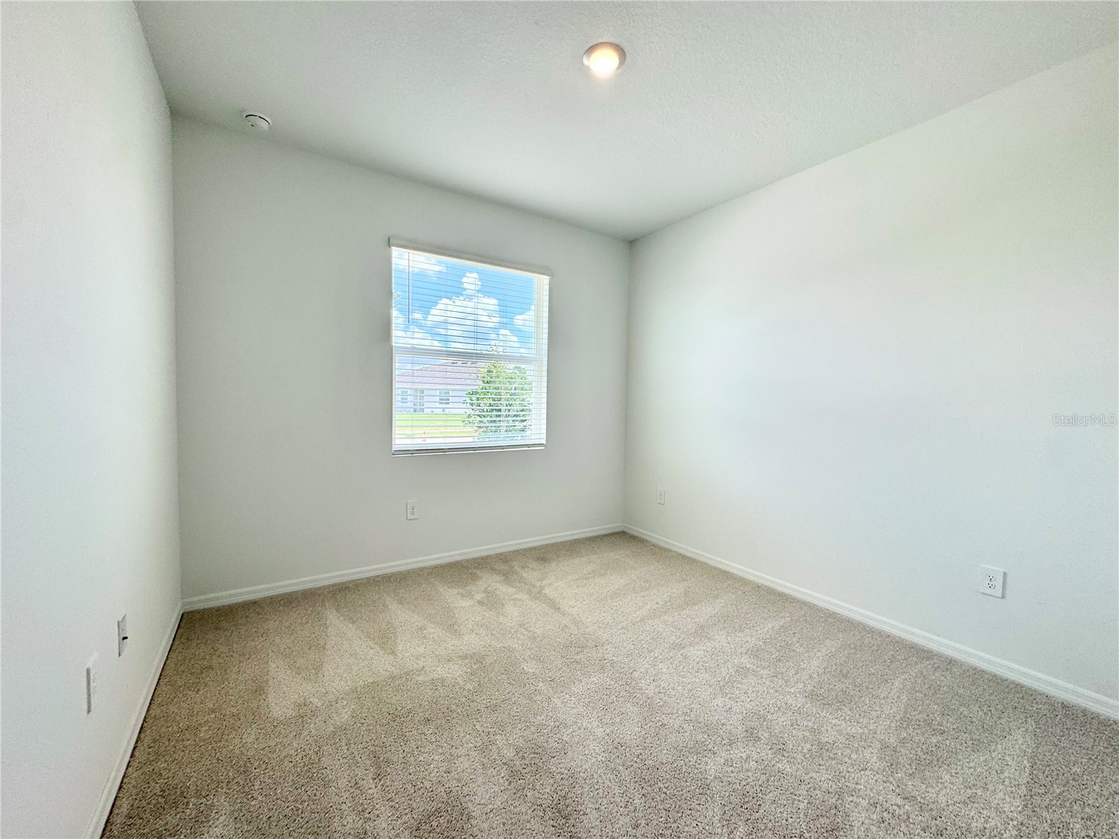 32828 Rustic Rise Road San Antonio FL 33576 TB8528206 image57
