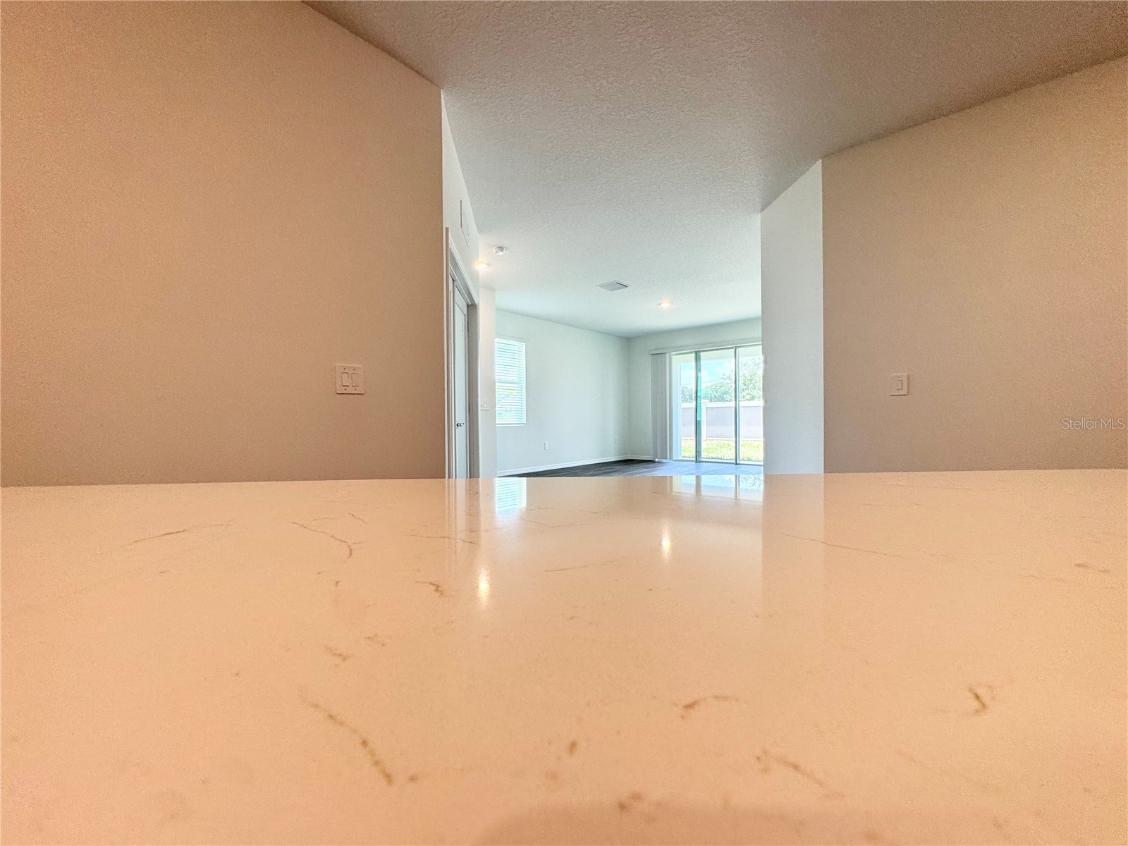 32828 Rustic Rise Road San Antonio FL 33576 TB8528206 image69