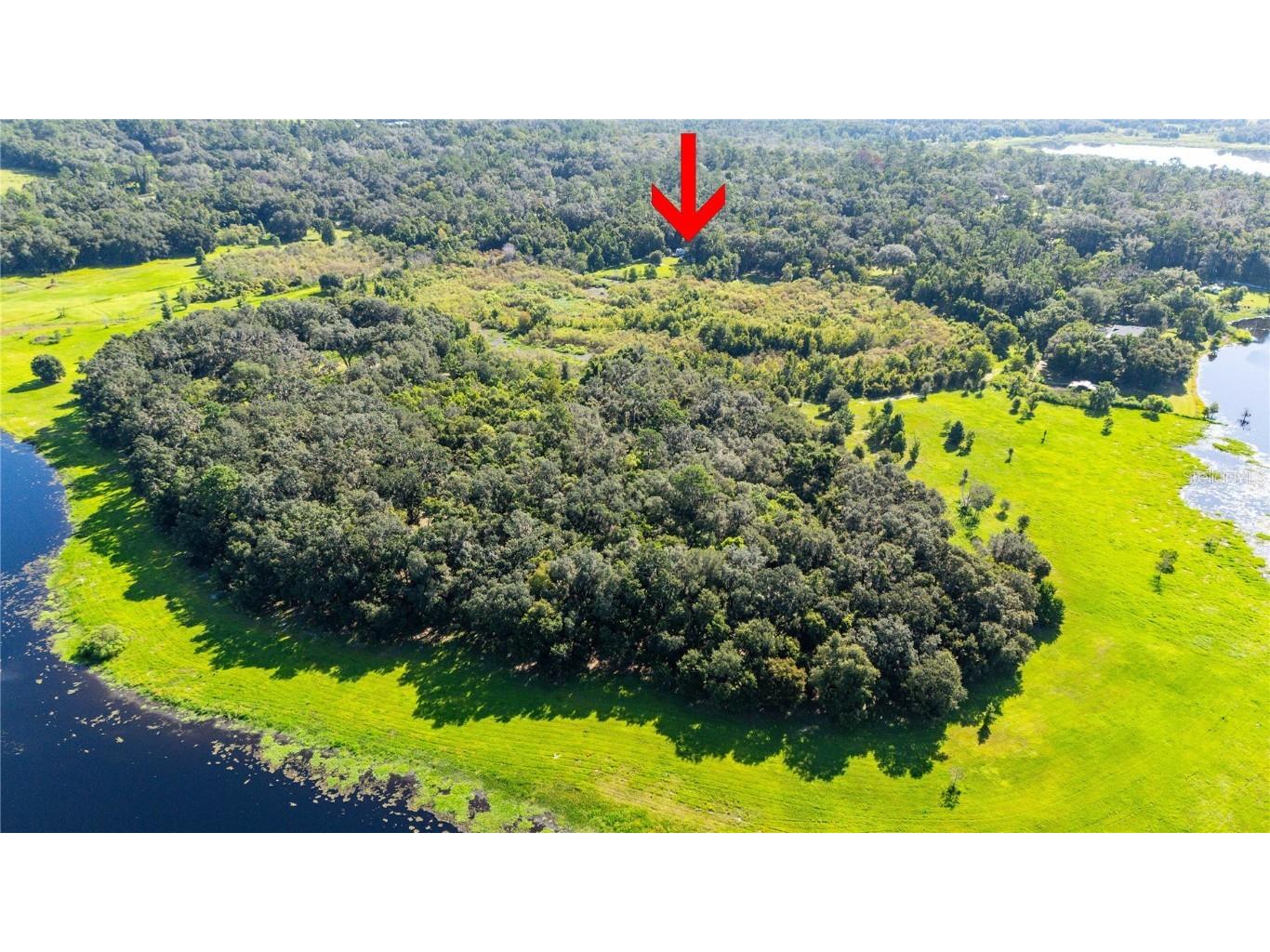 3283 Neff Lake Road Brooksville FL 34602 TB8415247 image41