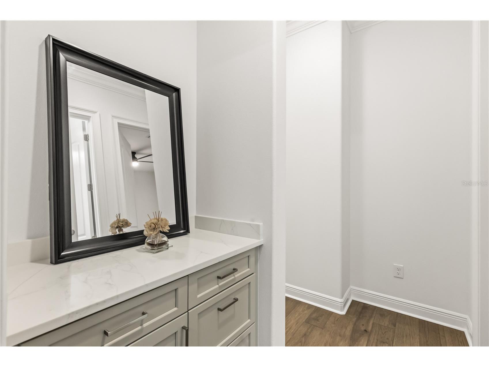 32834 Estate Garden Drive Wesley Chapel FL 33545 TB8474536 image33