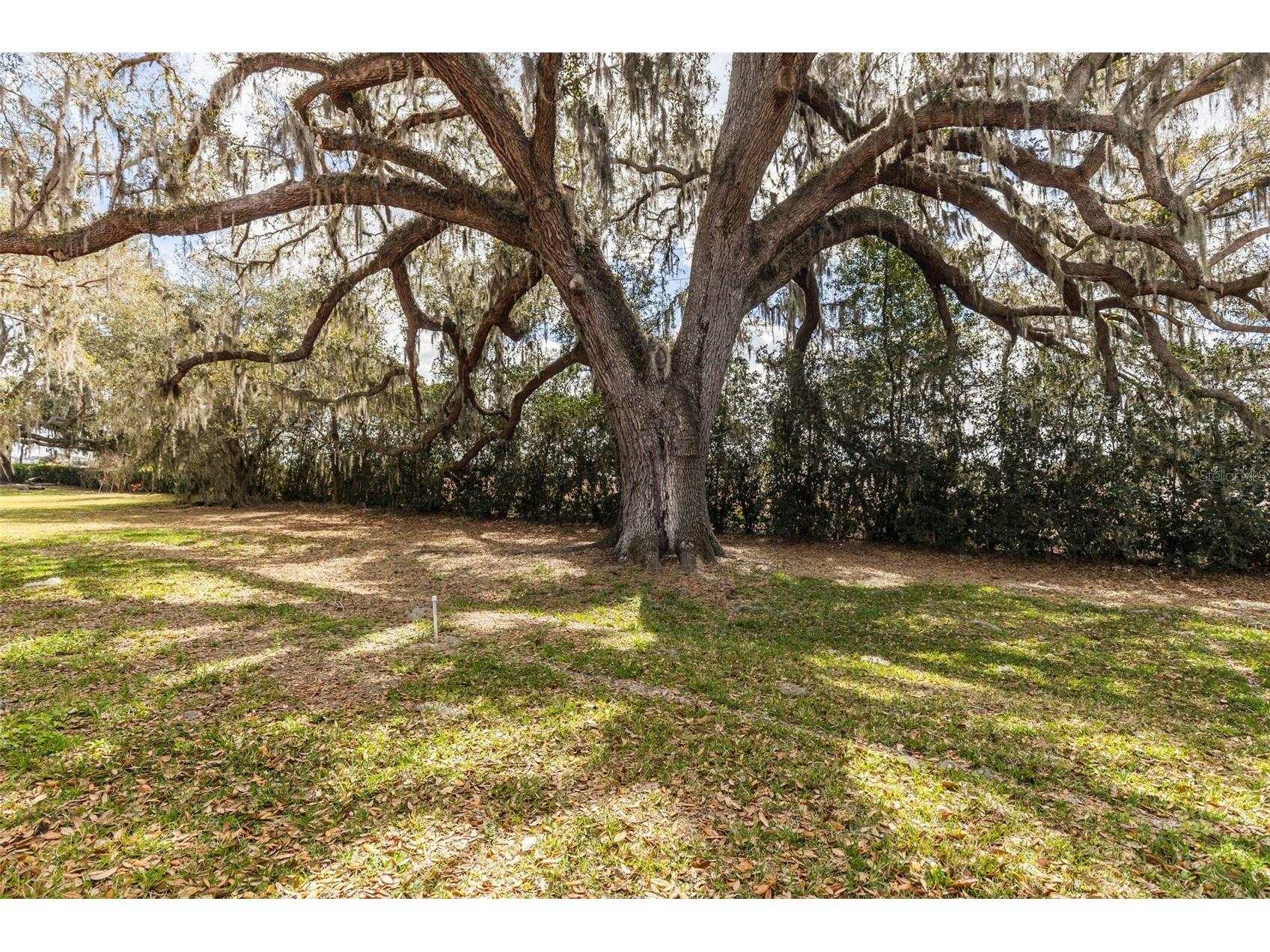 32834 Estate Garden Drive Wesley Chapel FL 33545 TB8474536 image41