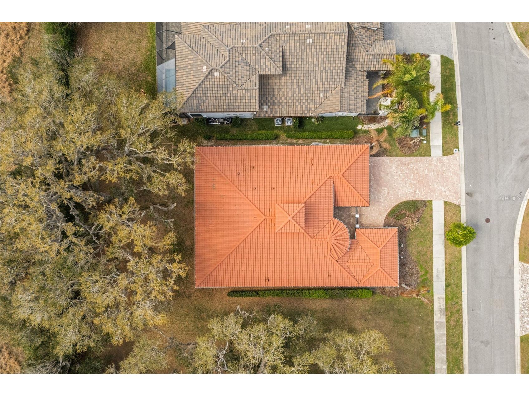32834 Estate Garden Drive Wesley Chapel FL 33545 TB8474536 image43