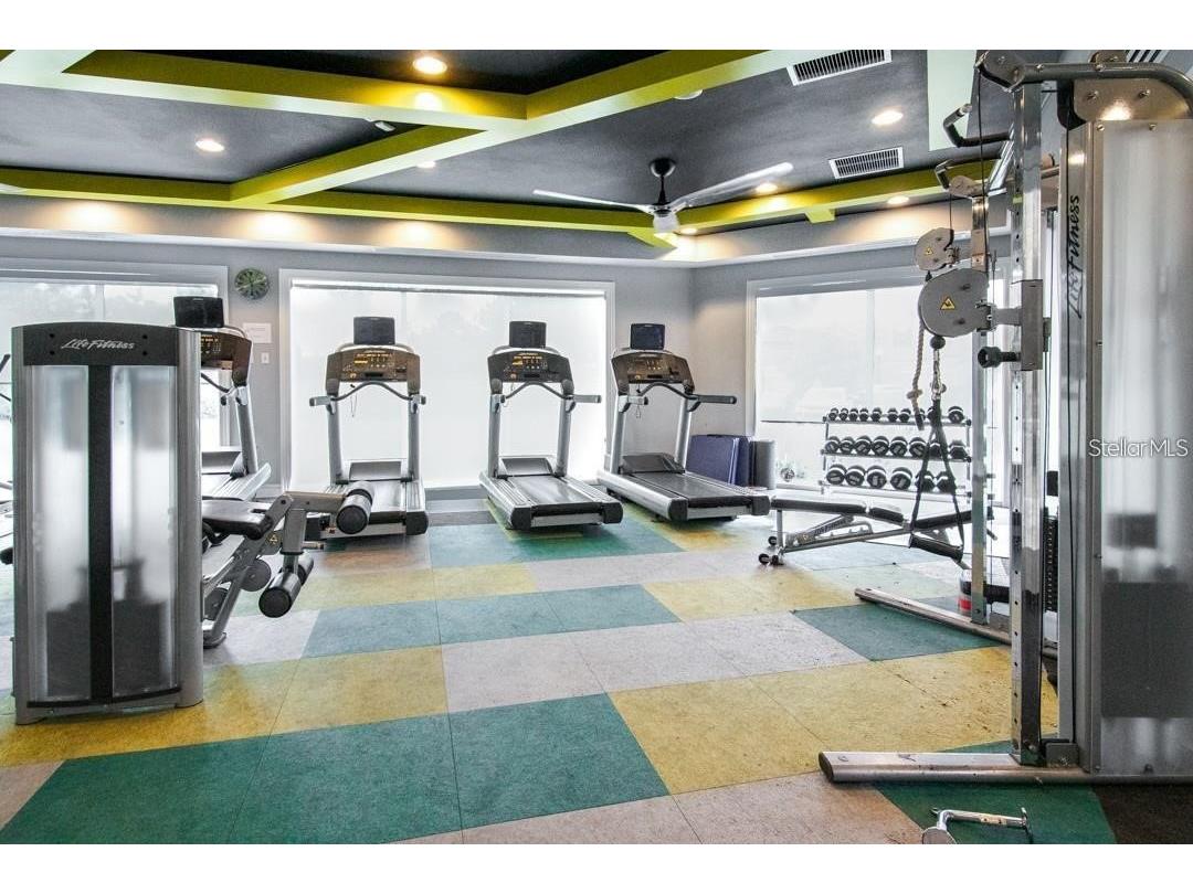 32834 Estate Garden Drive Wesley Chapel FL 33545 TB8474536 image59