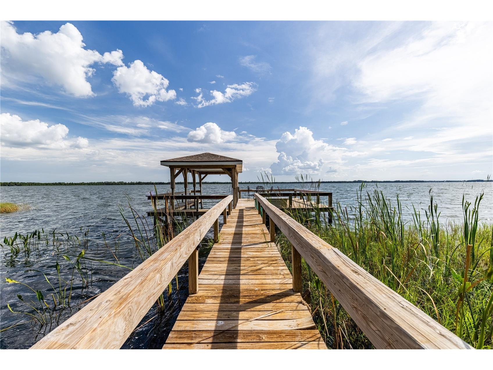32834 Lakeshore Drive Tavares FL 32778 - LAKE DORA THE HARRIS CHAIN OF LAKES G5114617 image4